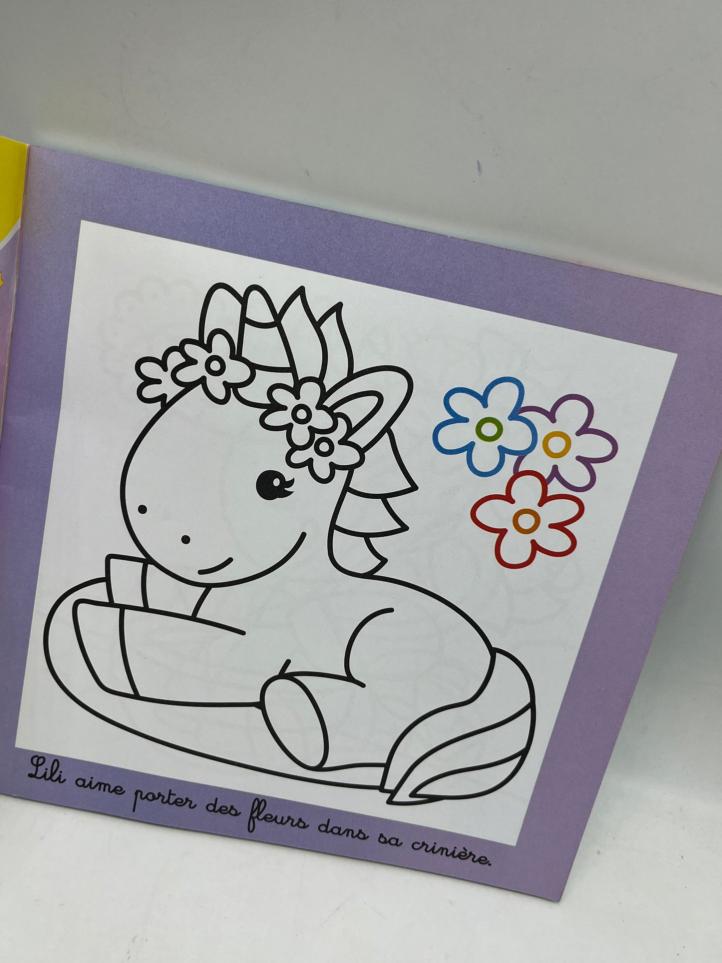 livre d’activité Magazine Mes toutes premières licornes dès 2 ans avec ses crayons de couleurs Neuf !