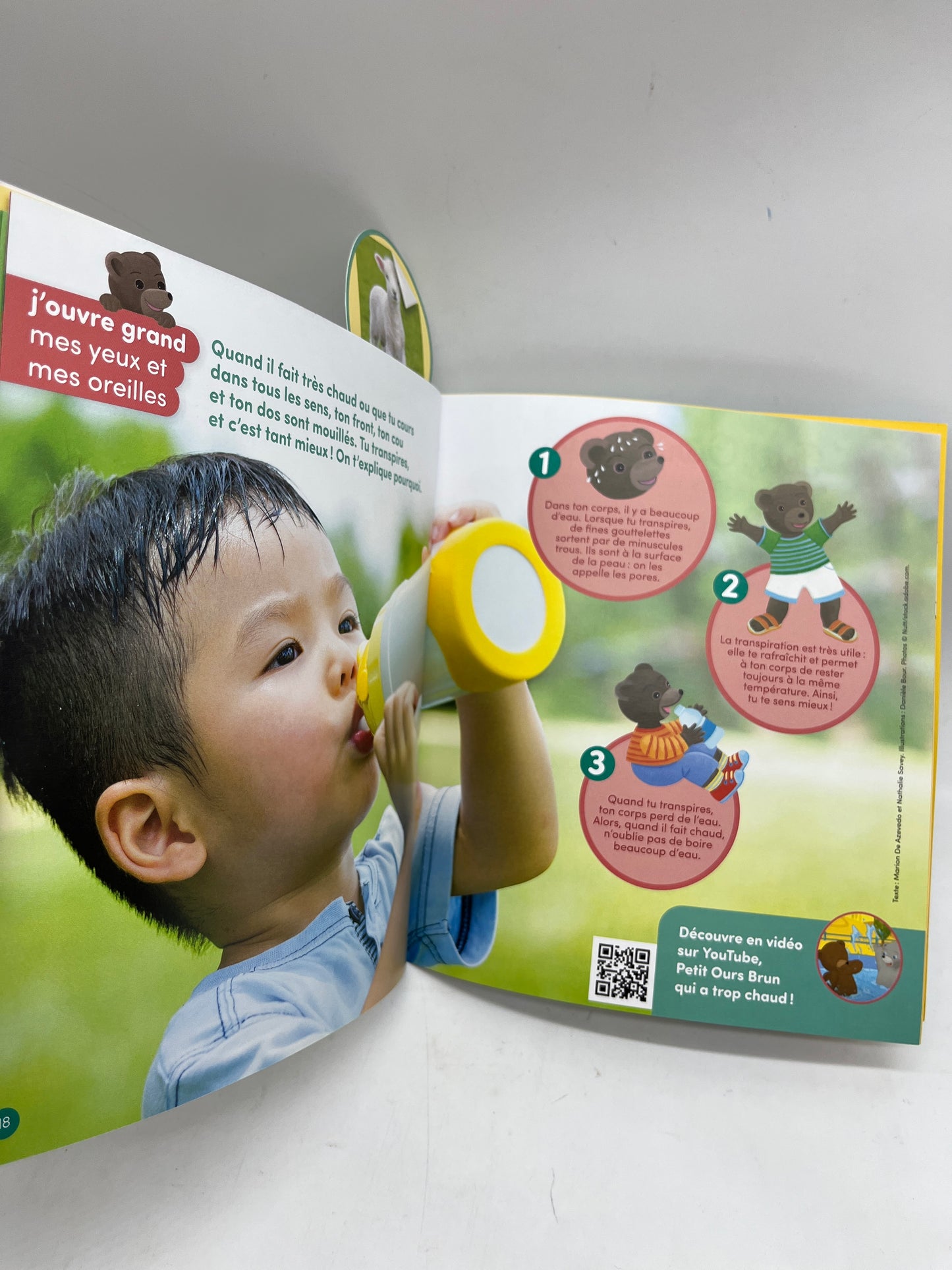Livre d’activité Magazine Je découvre avec Petit Ours Brun modèle Coucou petit Agneau! Neuf