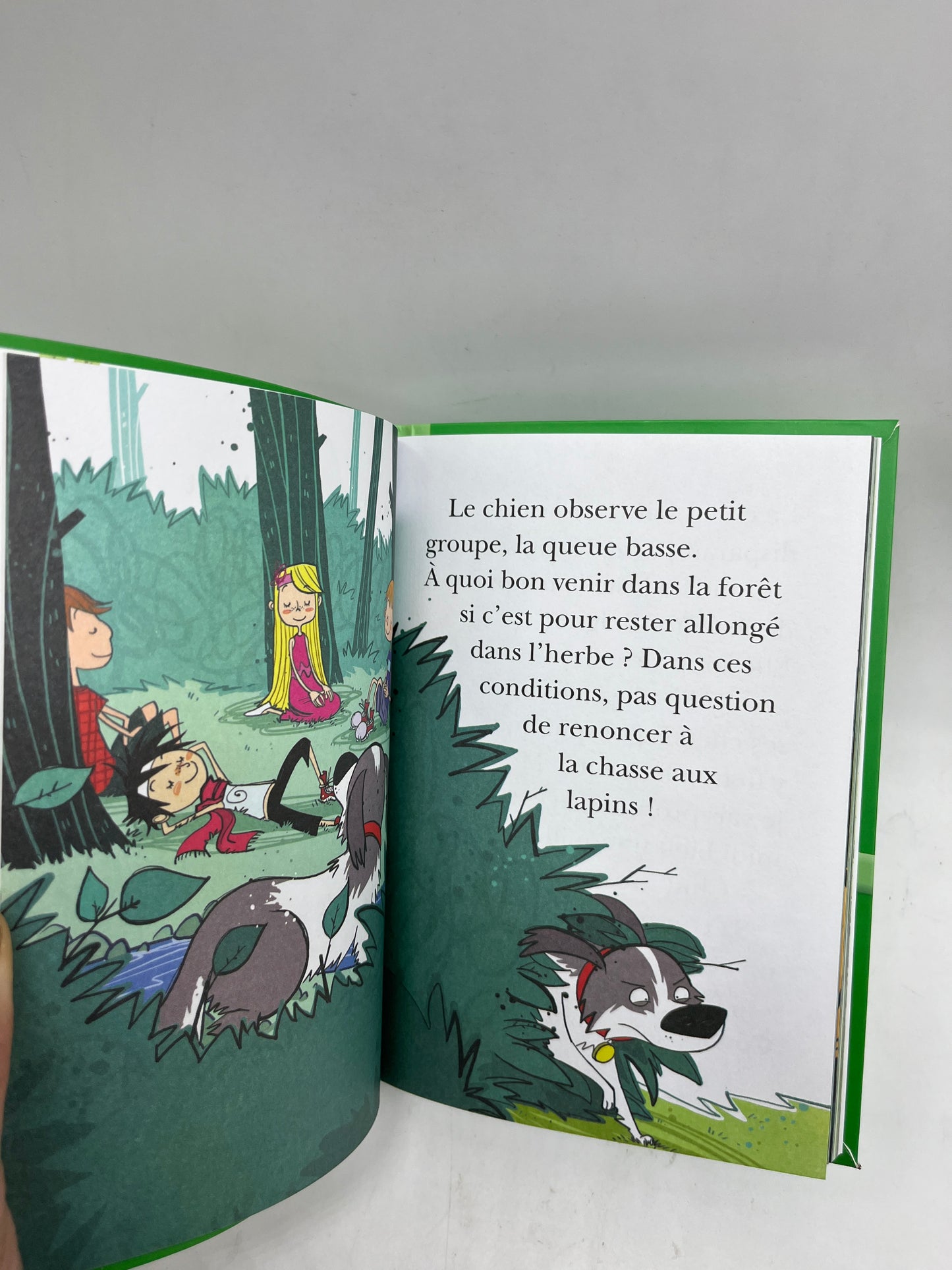 Livre histoire Ma bibliothèque verte Le club des cinq Junior Un après-midi bien tranquille Neuf