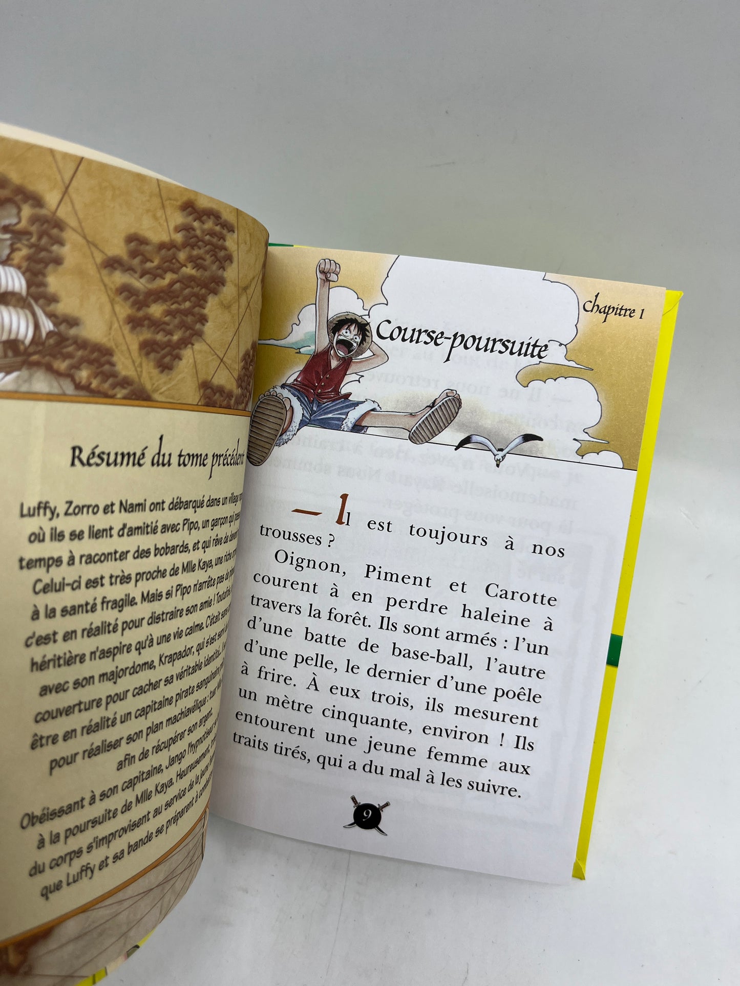 Livre histoire Ma bibliothèque verte One piece le combat de Pipo Neuf