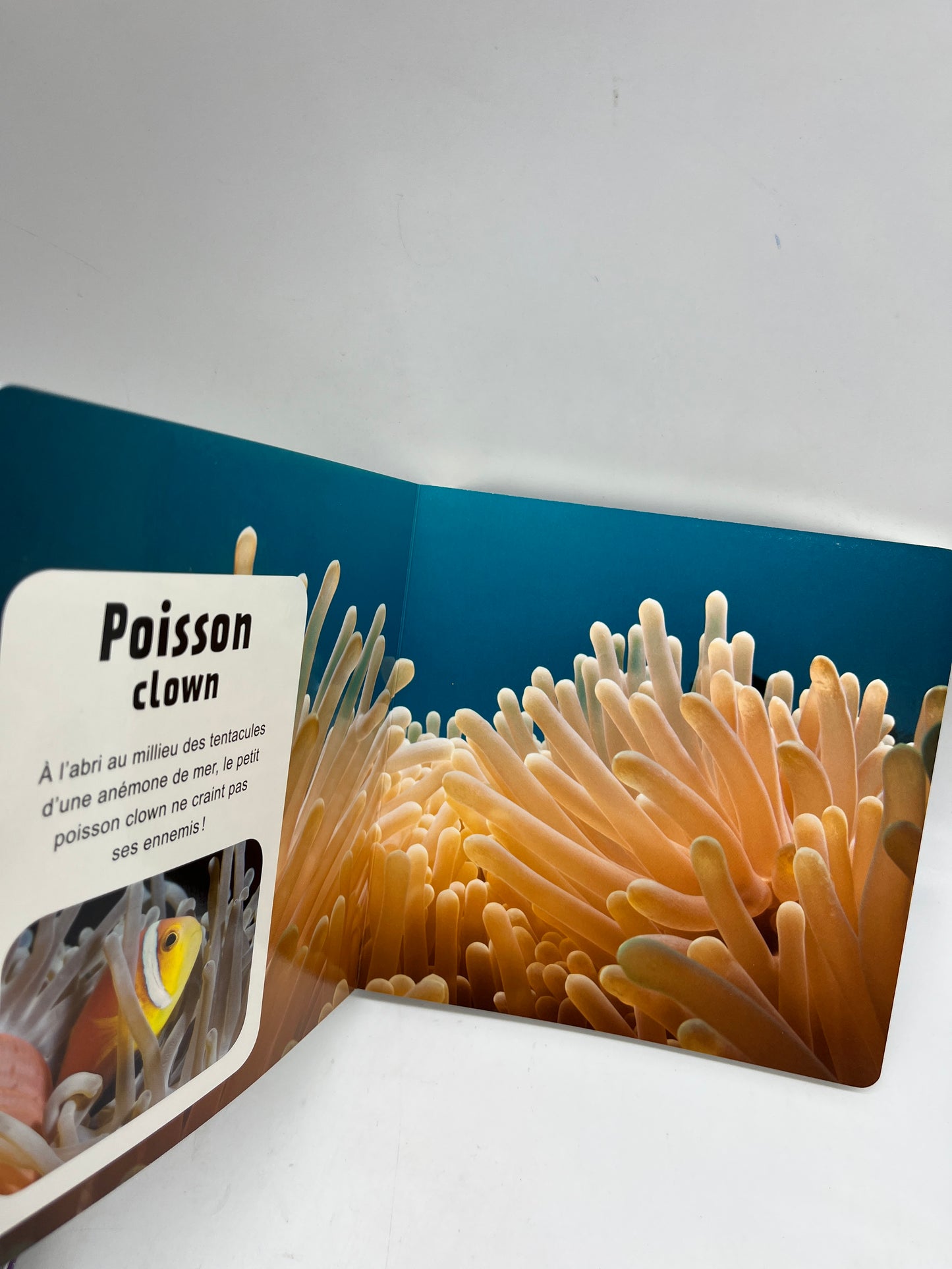 Livre imagier Ma maison spéciale animaux Mon imagier photo découverte entièrement cartonné Neuf