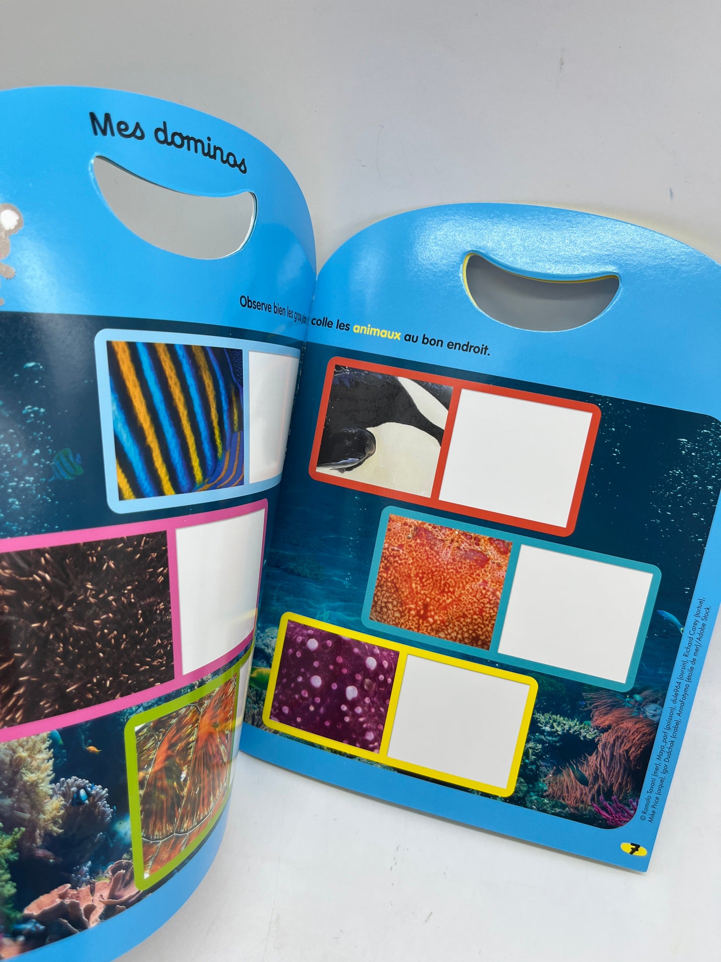 Livre d’activité Magazine Kolala Hors série revue animalière avec imagier et jeux numéro 7 thème la mer Neuf