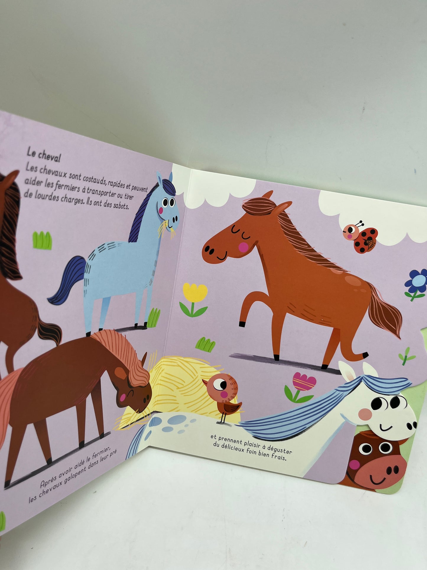 Livre histoire j’apprends avec les animaux tout cartonné thème la ferme Neuf