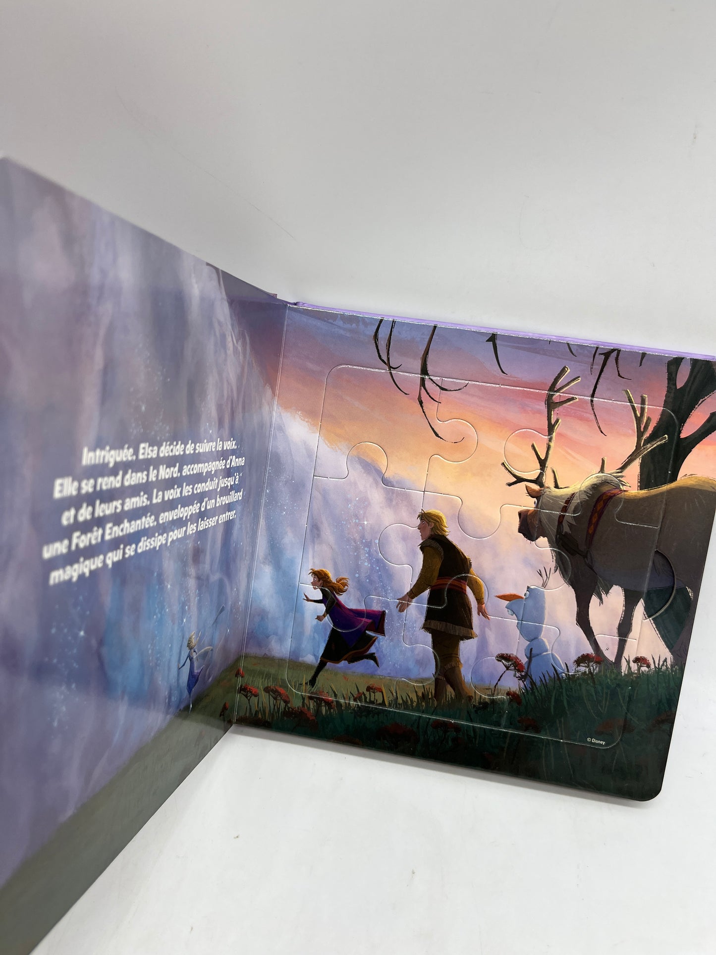 Mon Livre Puzzle Princesse La reine des neiges 2 Disney avec ses 5 histoires Puzzle de 9 pièces Neuf !