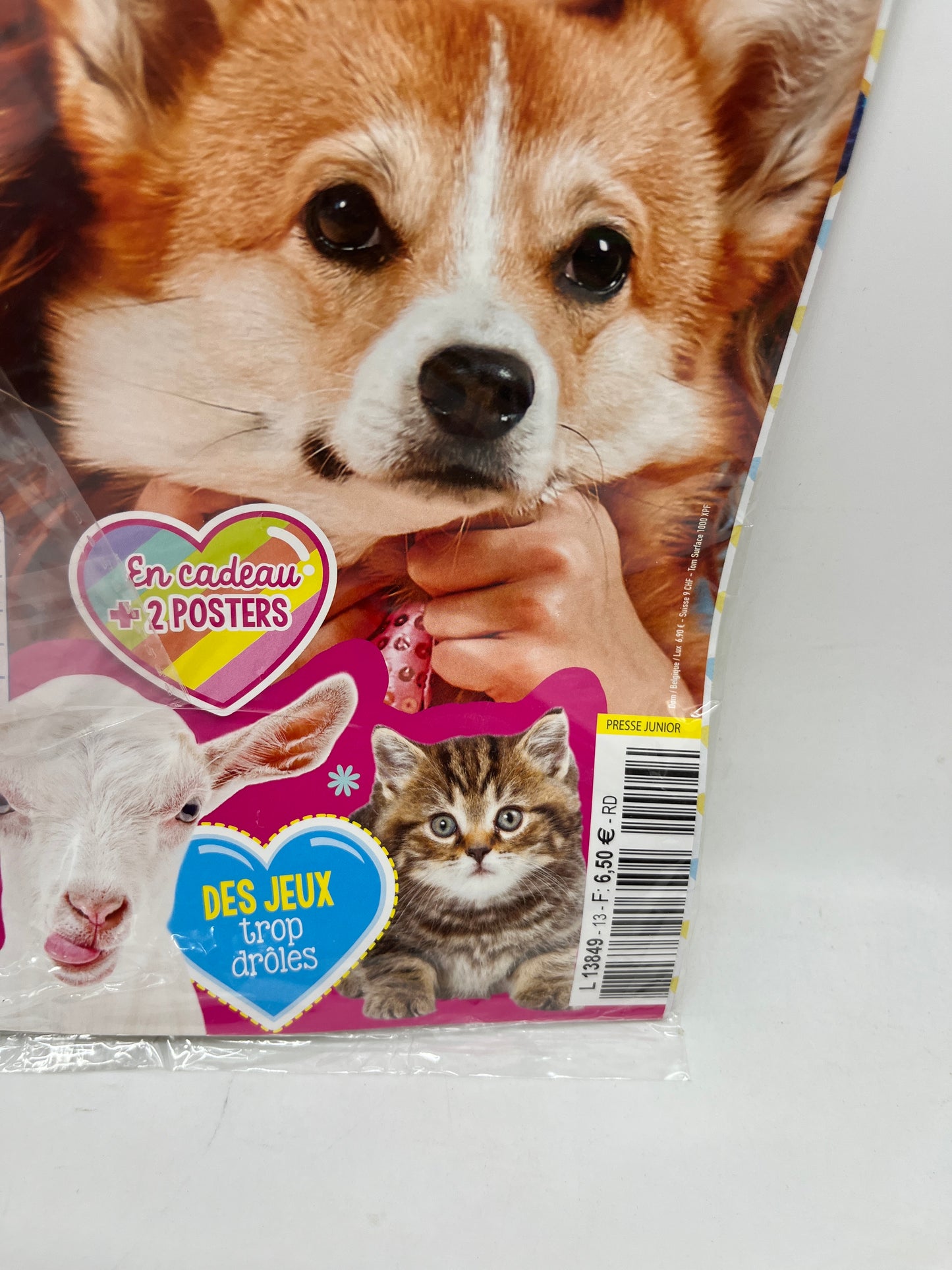 Livre d’activité Magazine Animaux cheri avec son petit squishy Neuf !