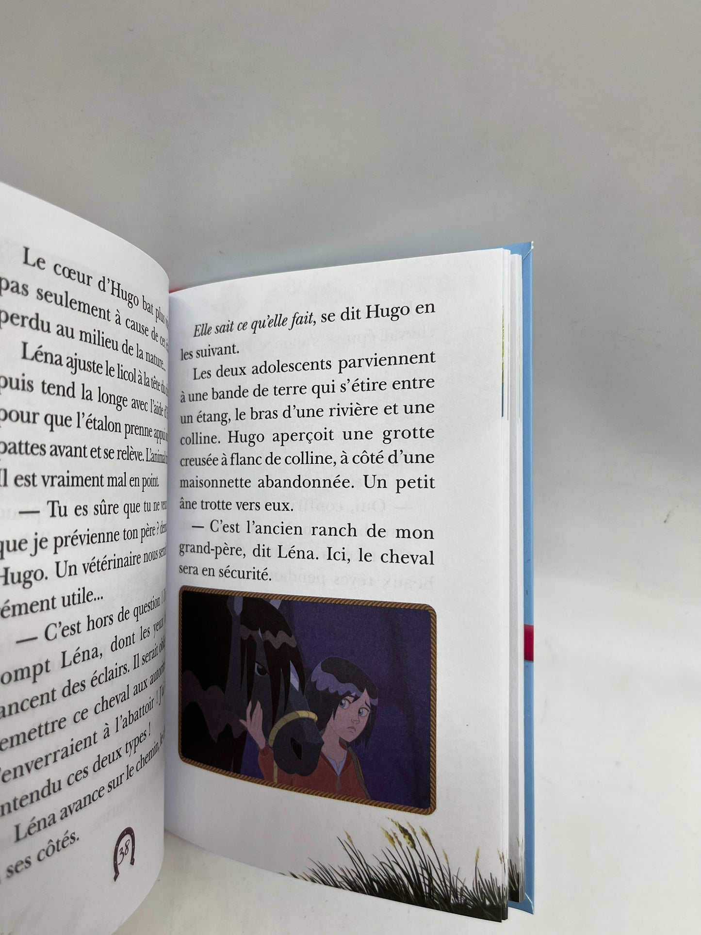 Livre histoire Ma bibliothèque rose Mes lectures Le Ranch L’etalon sauvage Neuf