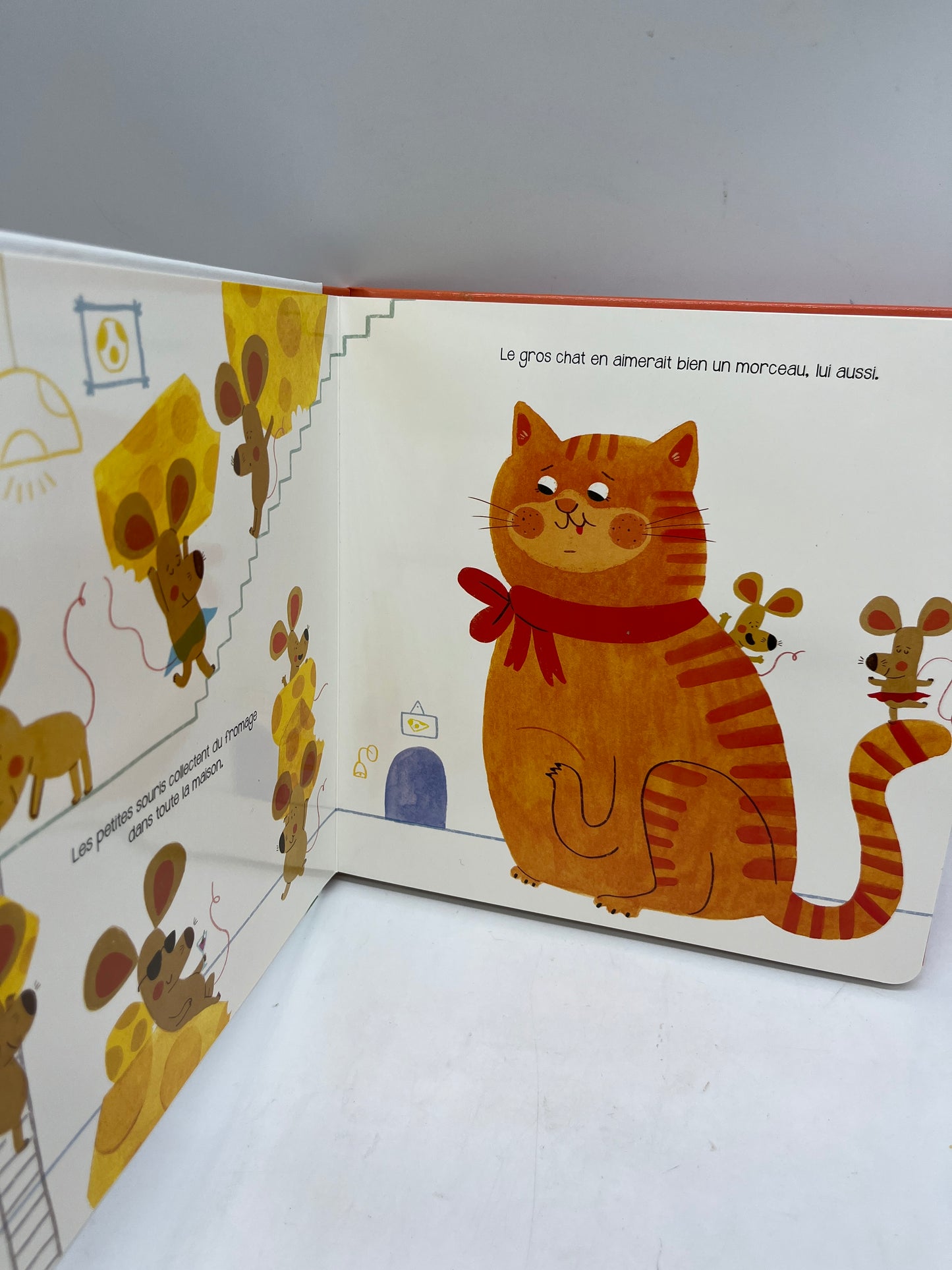 Livre histoire à toi de toucher modèle les animaux de compagnie tam tam edition Neuf