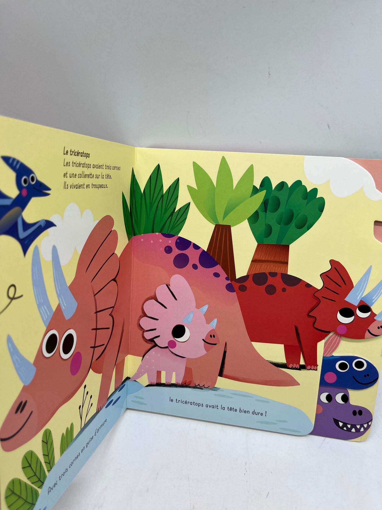 Livre histoire j’apprends avec les animaux tout cartonné thème les dinosaures Neuf
