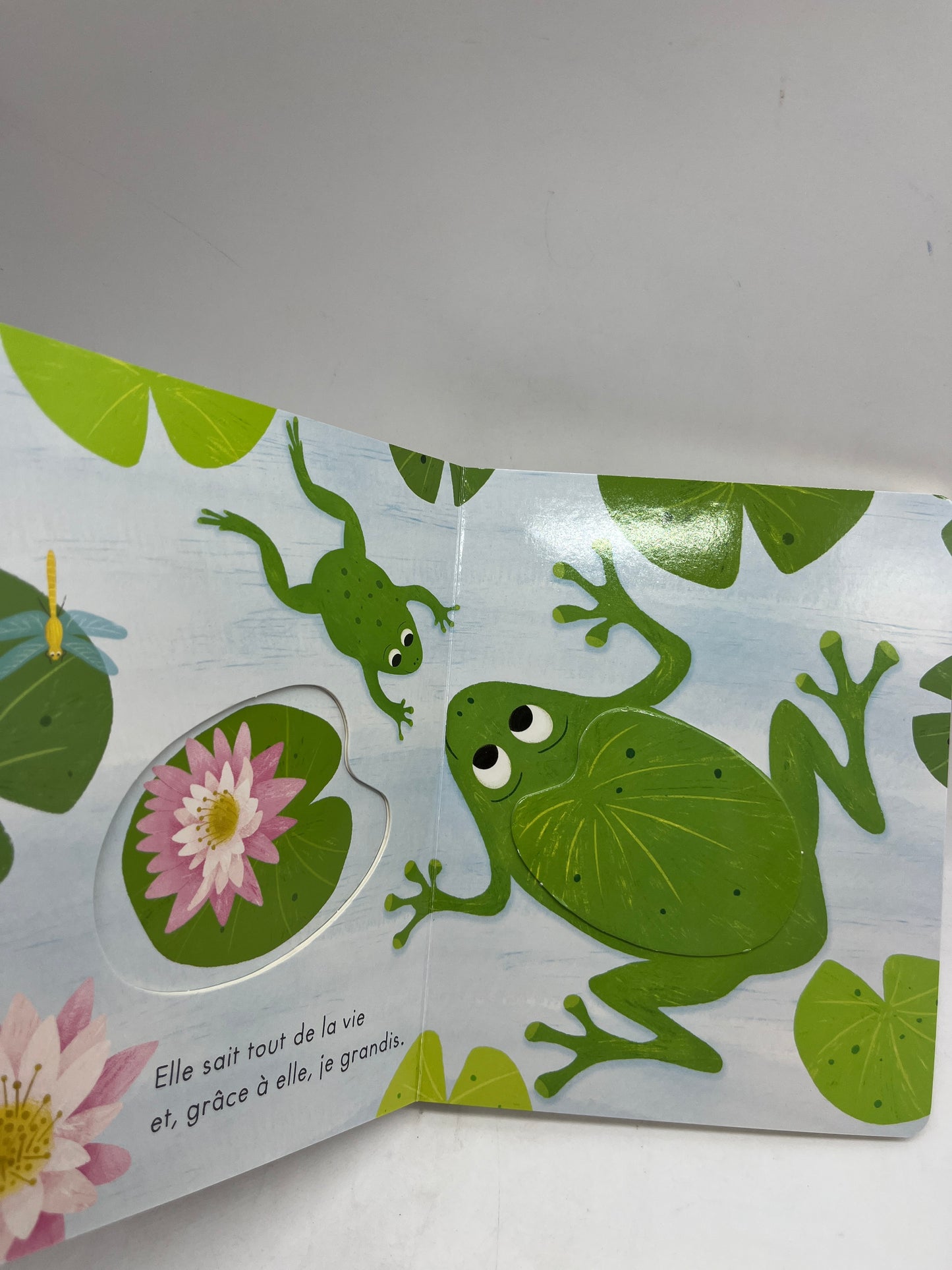 Livre histoire Cache cahe avec maman neuf éditions Kimone spécial fête des mamans