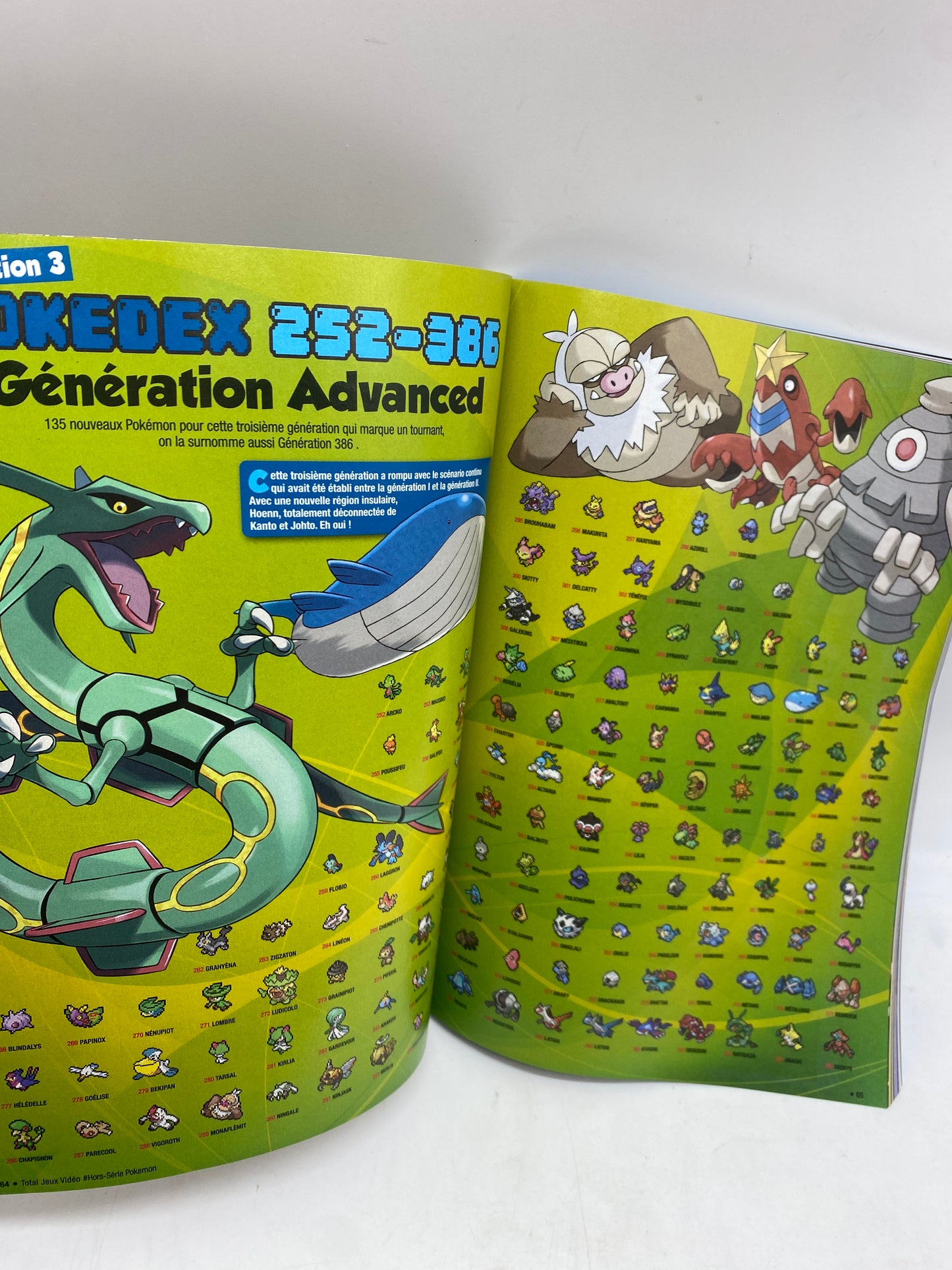 Livre Magazine Le grand guide Pokémon La fabuleuse histoire Pokémon 2024 Neuf !!