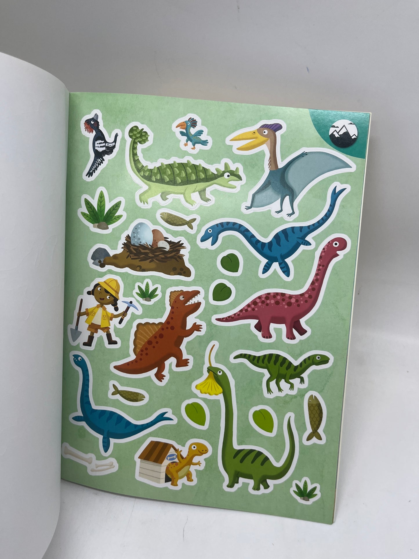 livre d’activité Jeux 100 choses les plus amusantes Special les dinosaures lis colle et joue avec les dinos Neuf