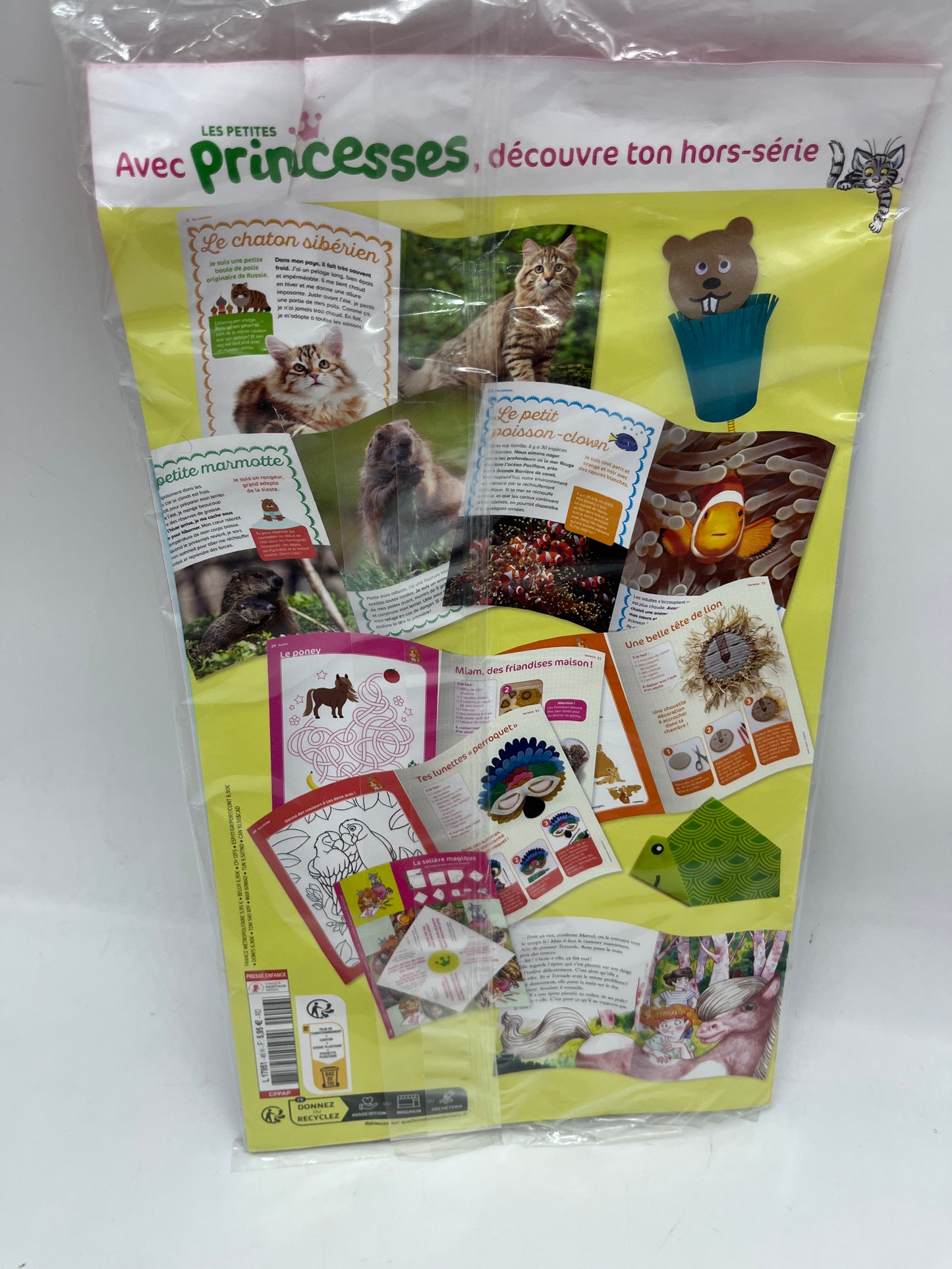livre d’activité Magazine Les petites Princesses Edition Fleurus avec son carnet secret neuf !