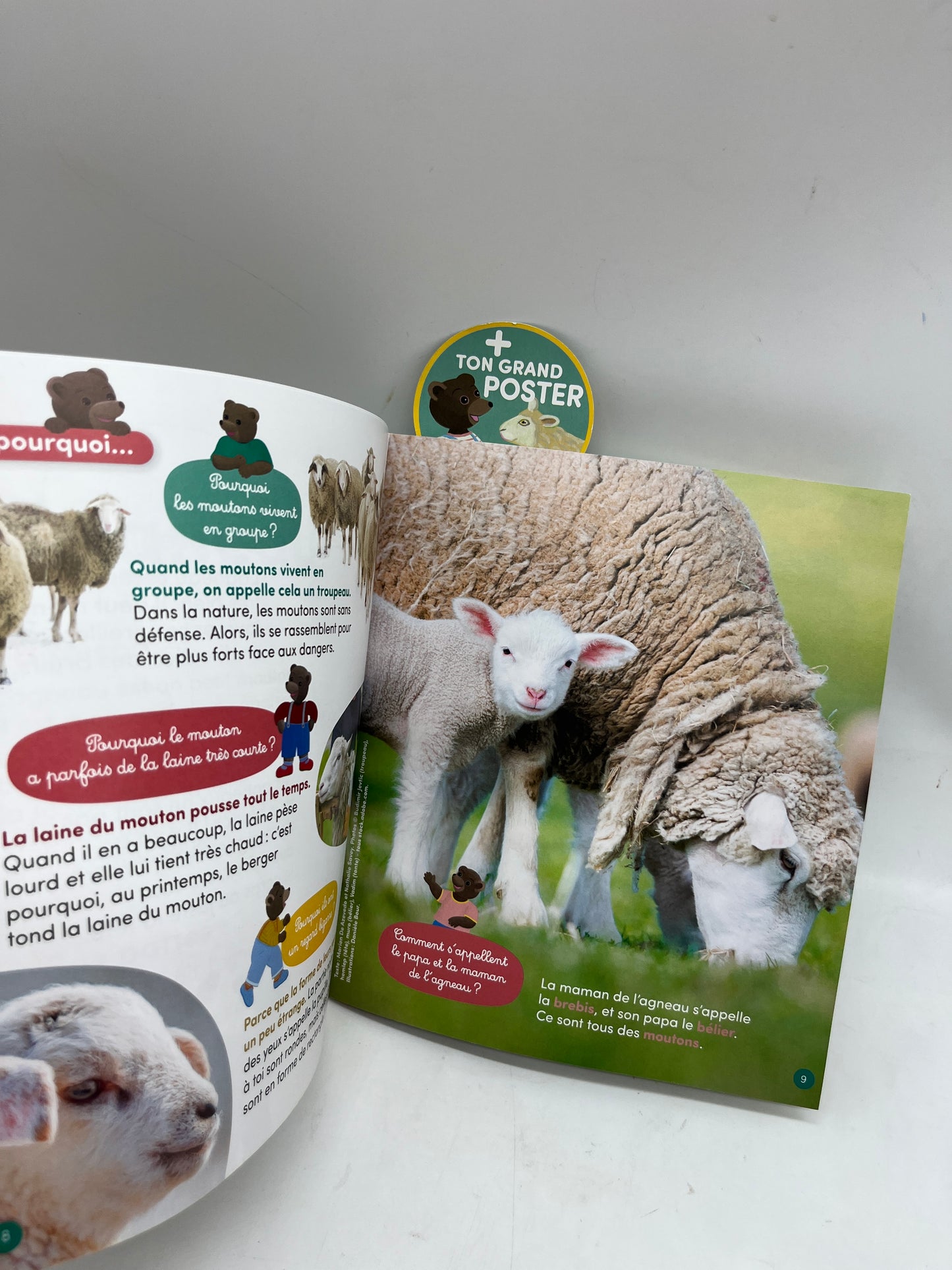 Livre d’activité Magazine Je découvre avec Petit Ours Brun modèle Coucou petit Agneau! Neuf