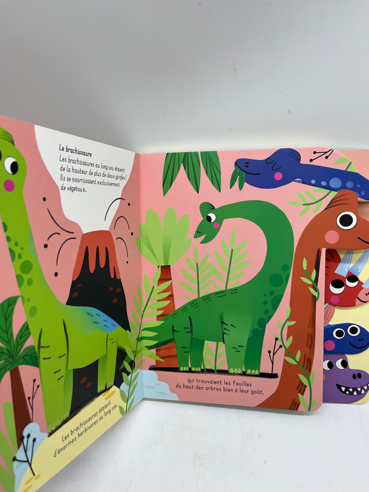 Livre histoire j’apprends avec les animaux tout cartonné thème les dinosaures Neuf