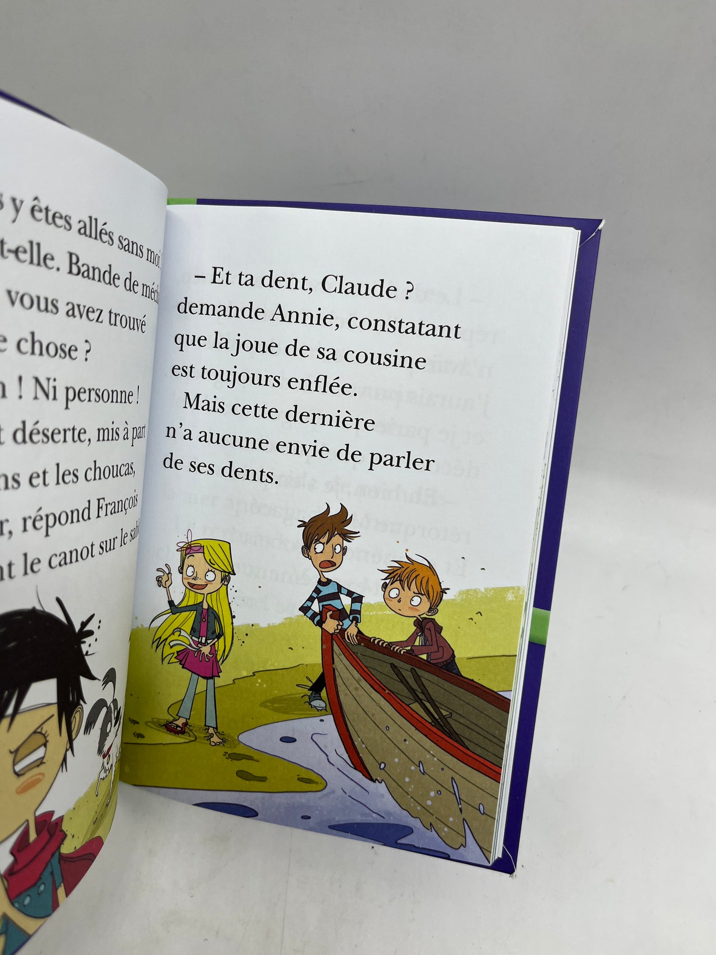 Livre histoire Ma bibliothèque verte Le club des cinq Junior le mystère de l’île Neuf