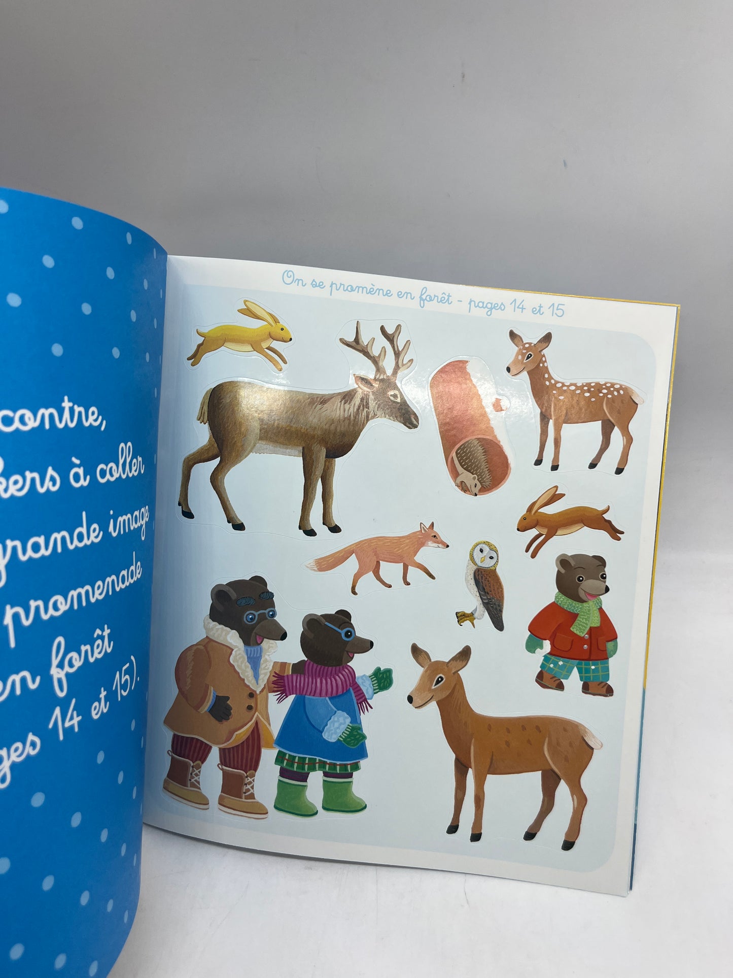 Livre d’activité magazines Je colle avec Petit Ours brun thème l’hiver avec ses gommettes Neuf