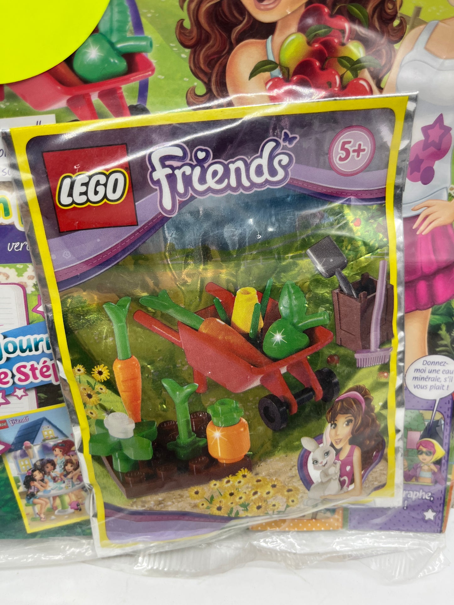 livre d’activité Magazine Lego Friends avec son sachet à construire numéro 13 Neuf