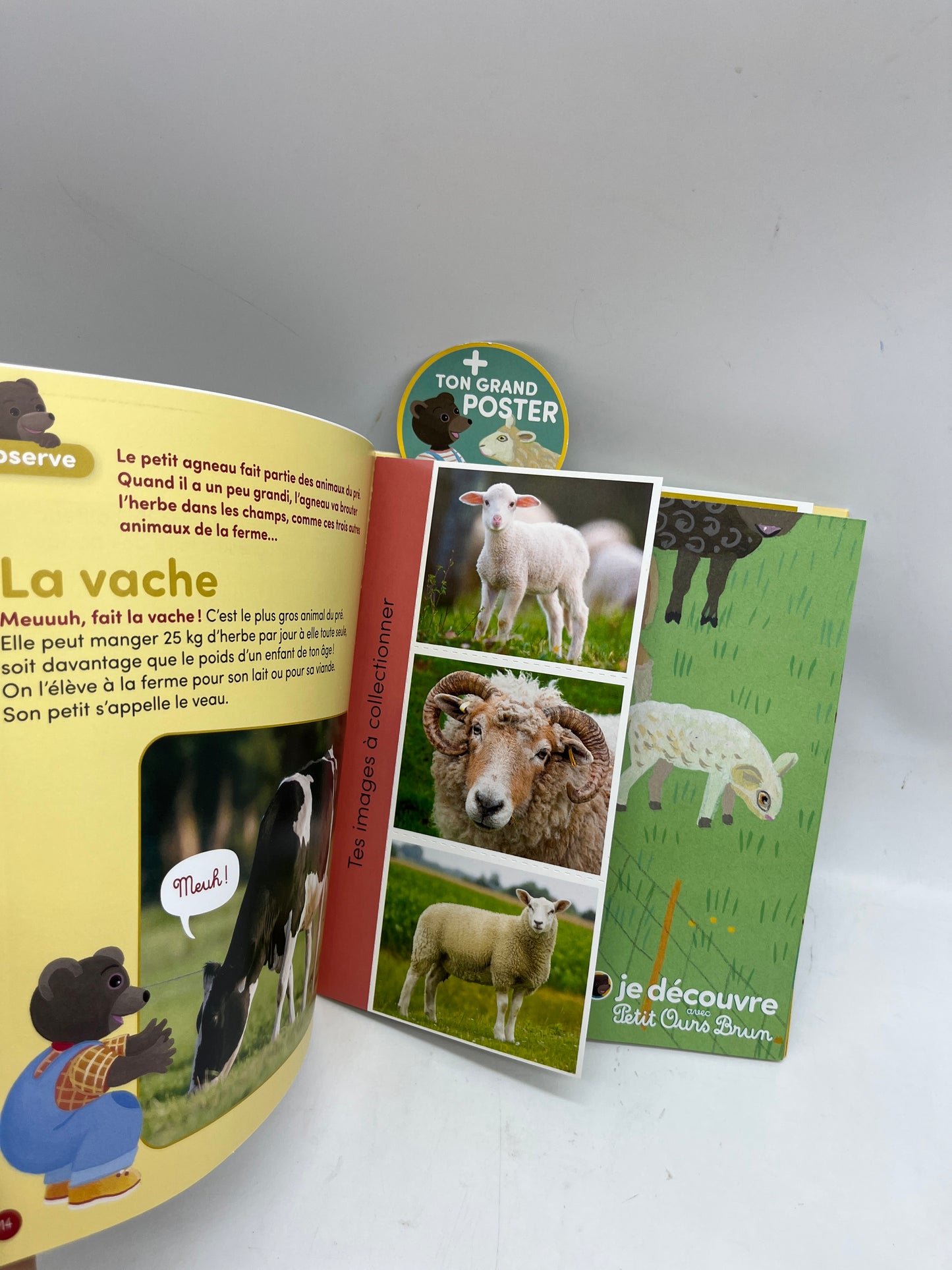 Livre d’activité Magazine Je découvre avec Petit Ours Brun modèle Coucou petit Agneau! Neuf