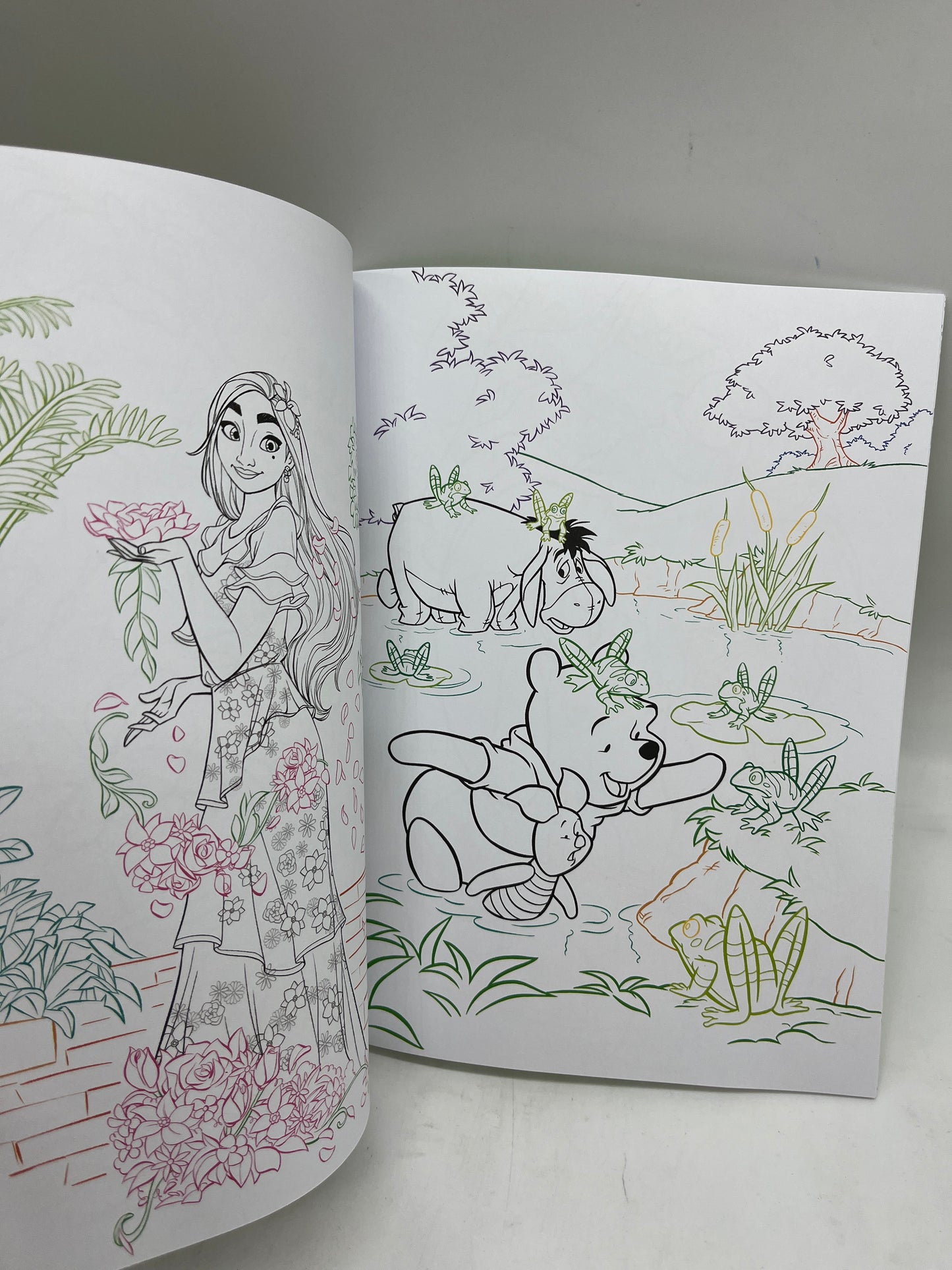 Magazine livre d’activité Disney Mes jolis coloriages thème La Nature activité Neuf