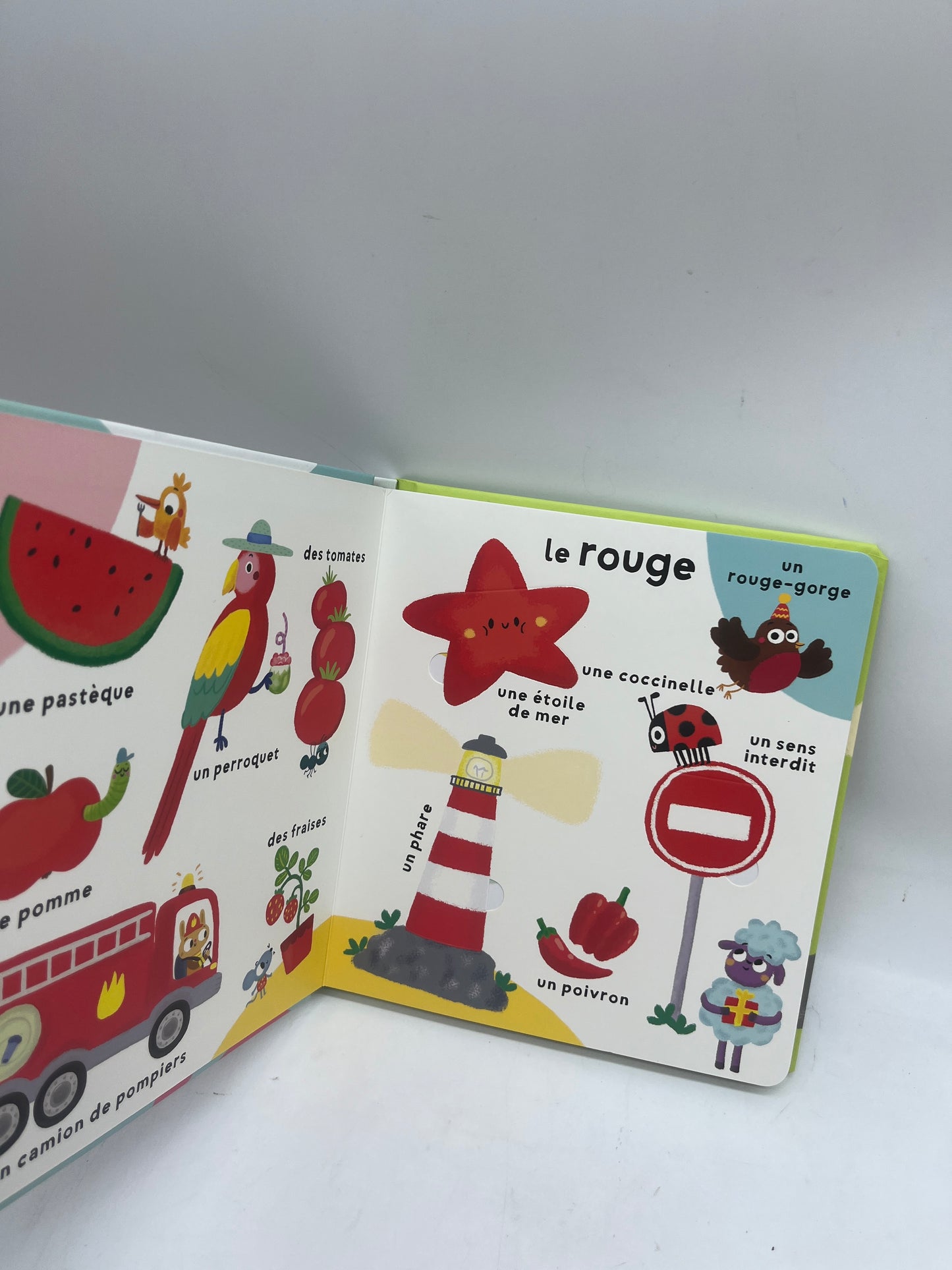 livre Mes 100 premiers mots à Rabats Ludique Mon album avec 100 rabats thème les couleurs Neuf