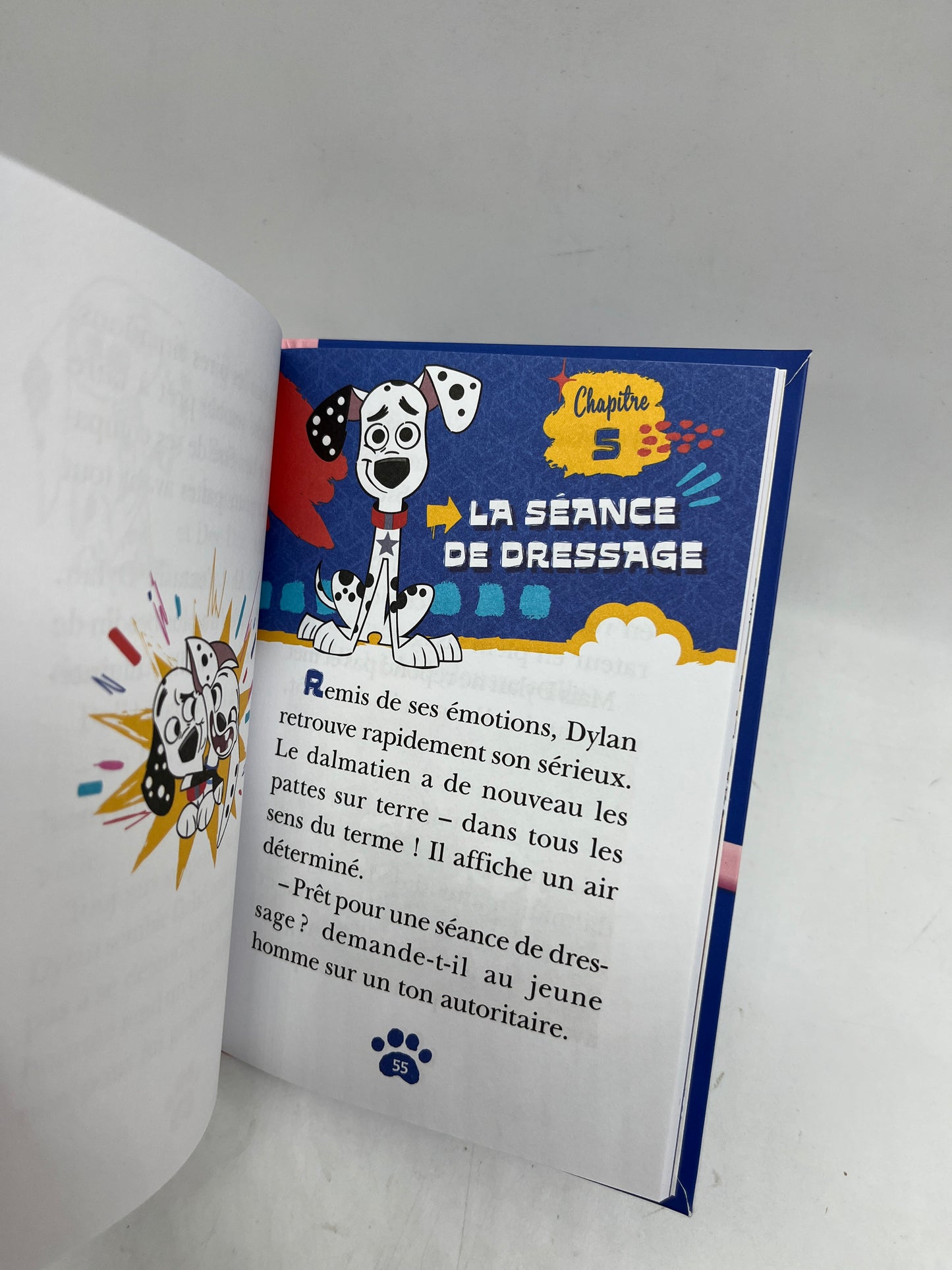 Livre histoire Ma bibliothèque rose Mes premières lectures Disney Les 101 dalmatiens rue des dalmatiens Neuf