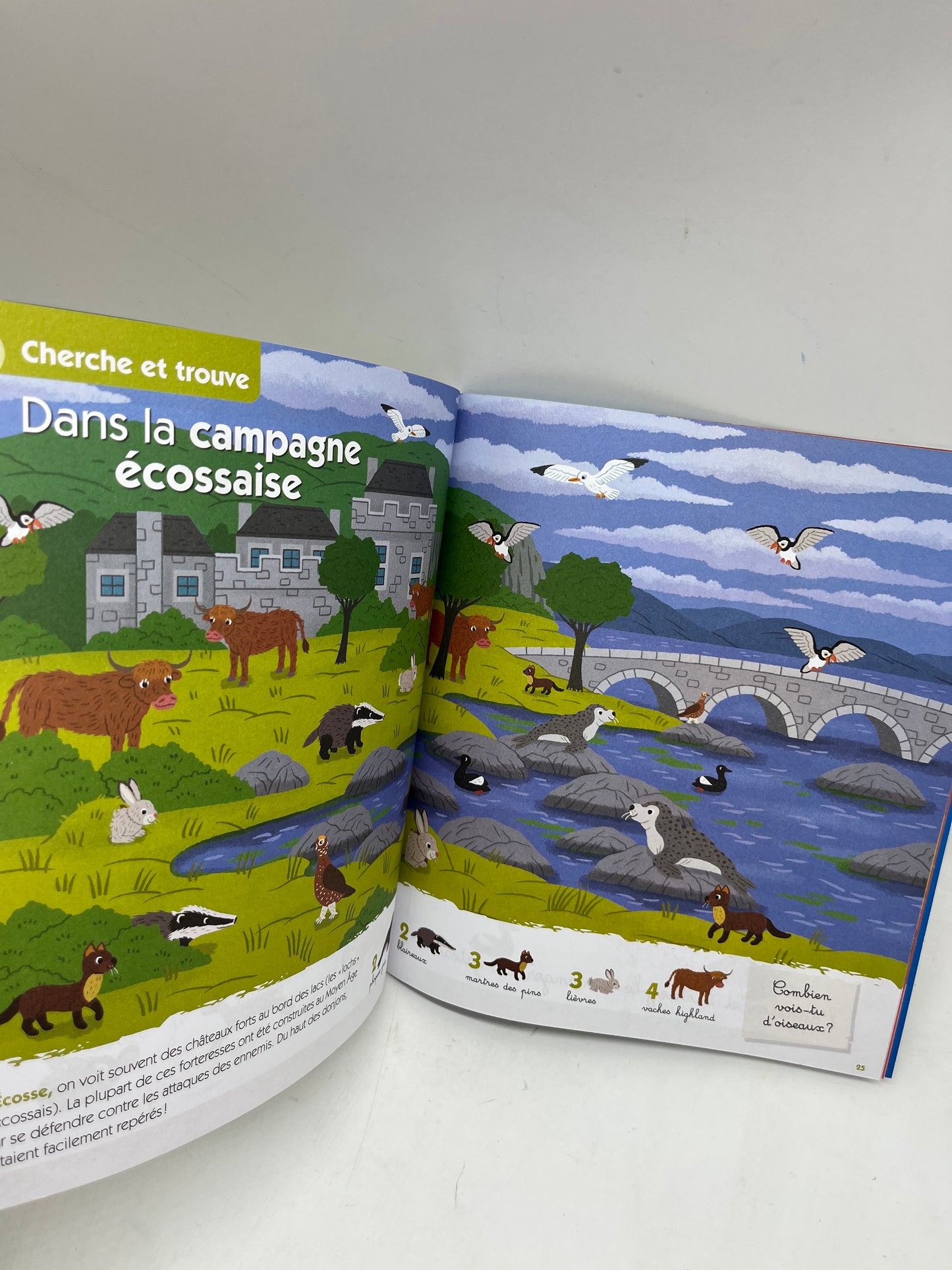 Livre d’activité Abricot Spécial Cherche et trouve modèle Hors serie thème à la jungle Neuf