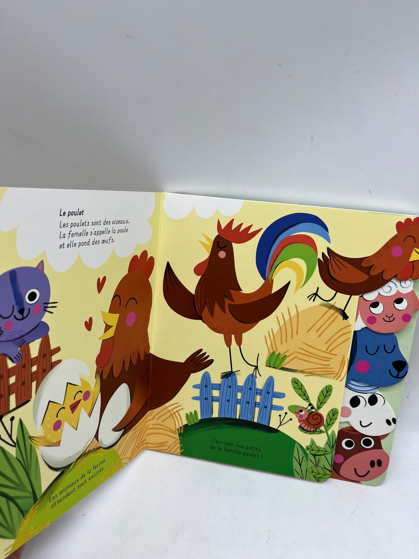 Livre histoire j’apprends avec les animaux tout cartonné thème la ferme Neuf