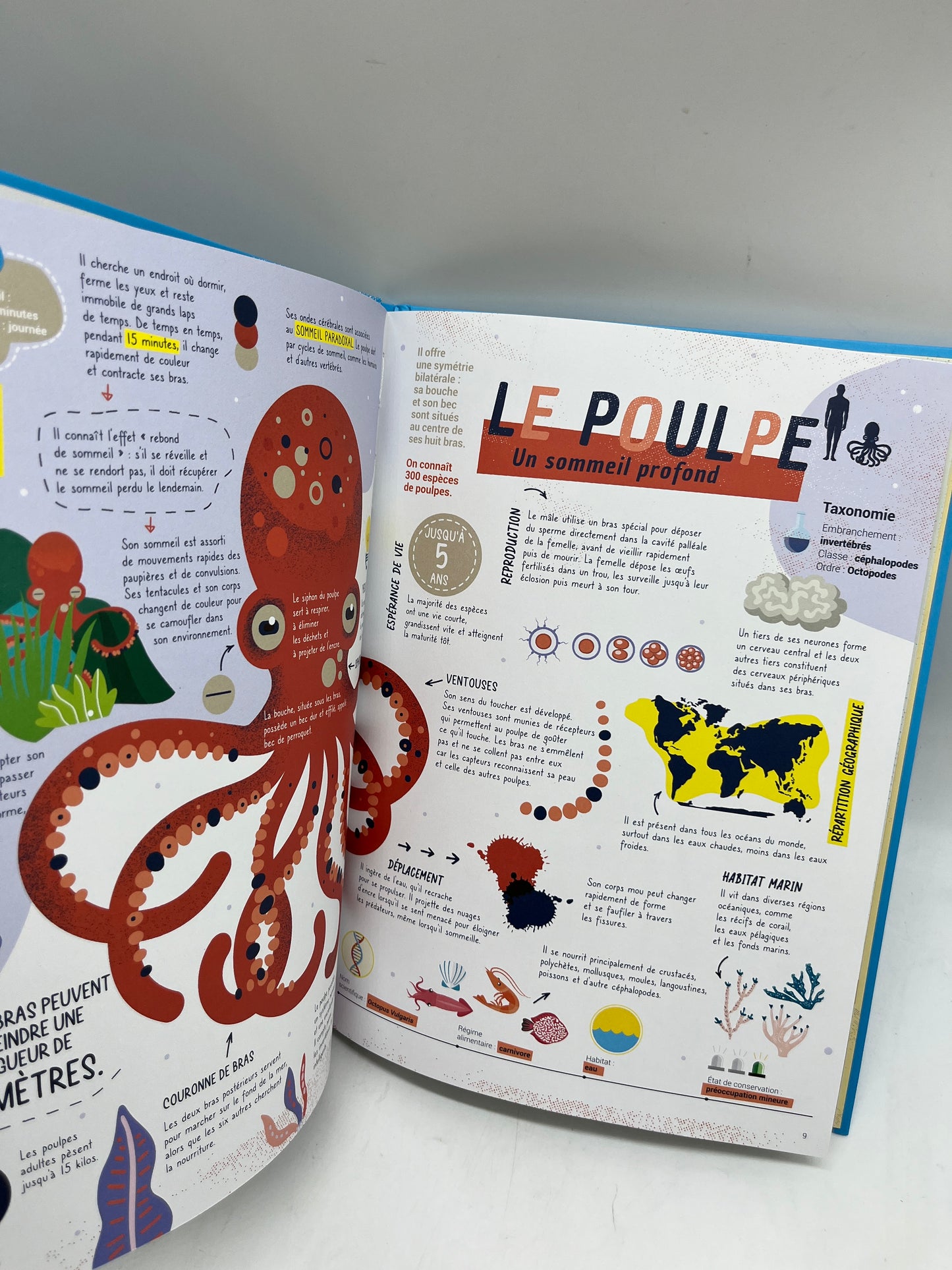 Livre histoire Au dodo les animaux ! edition Kimane Neuf