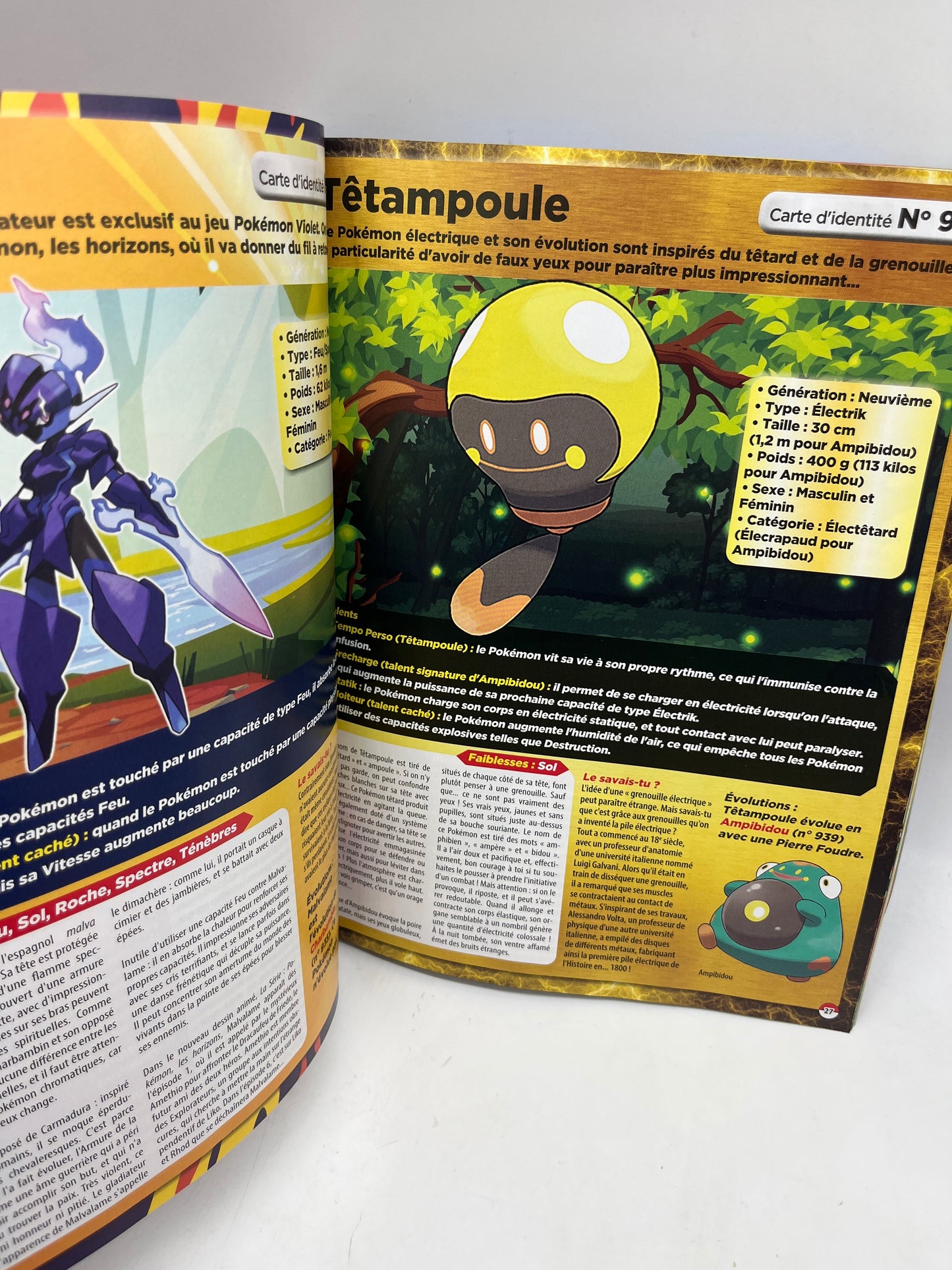Livre d’activité Magazine Le Guide dès Pokémon de la région de Paldéa Neuf
