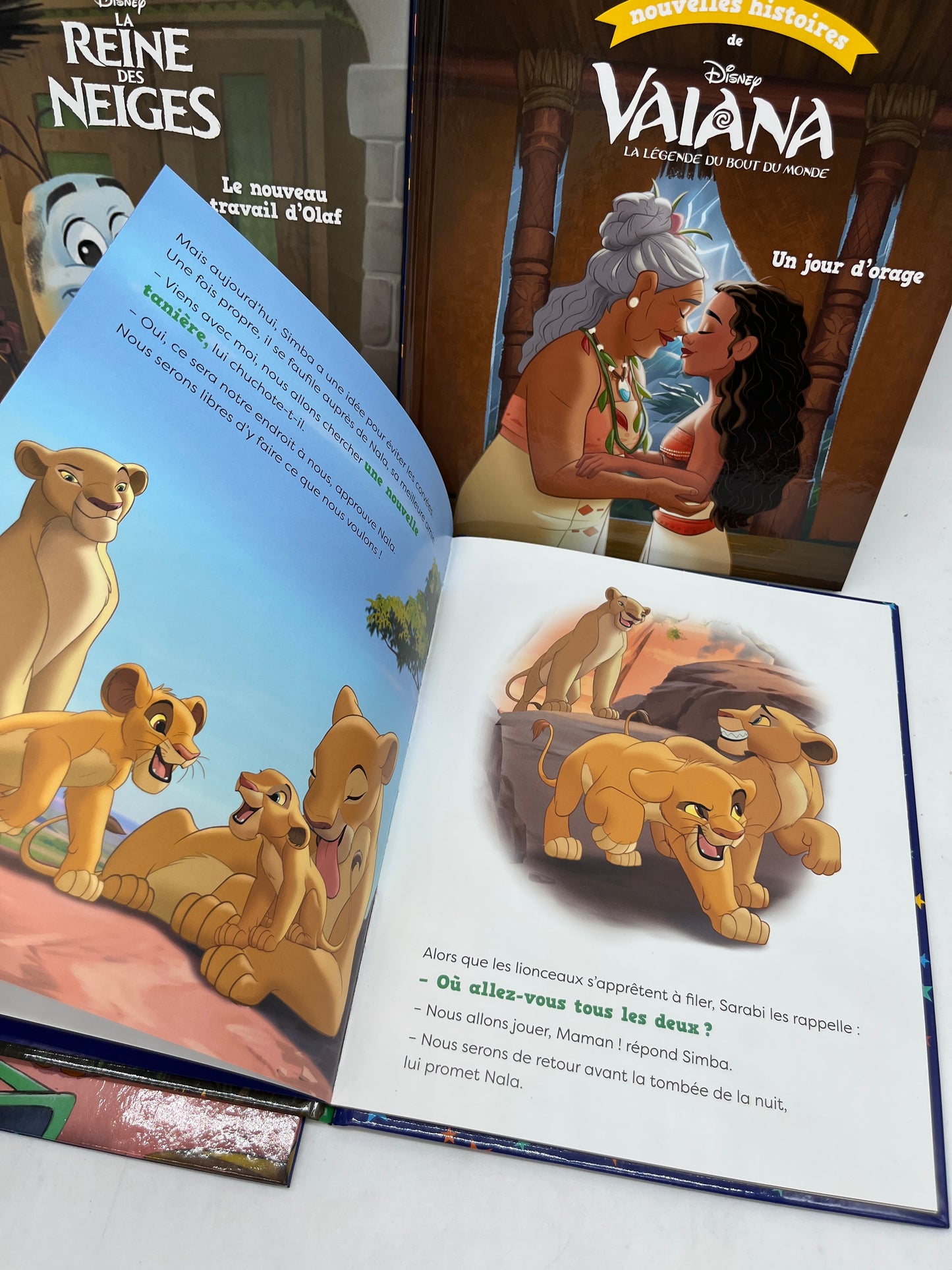 Lot de 4 livres Disney collection Nouvelles histoires Princesses Roi lion Neuf