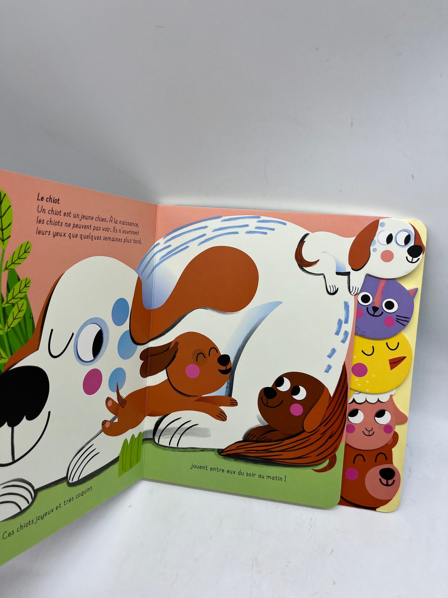 Livre histoire j’apprends avec les animaux tout cartonné thème les bébés animaux Neuf