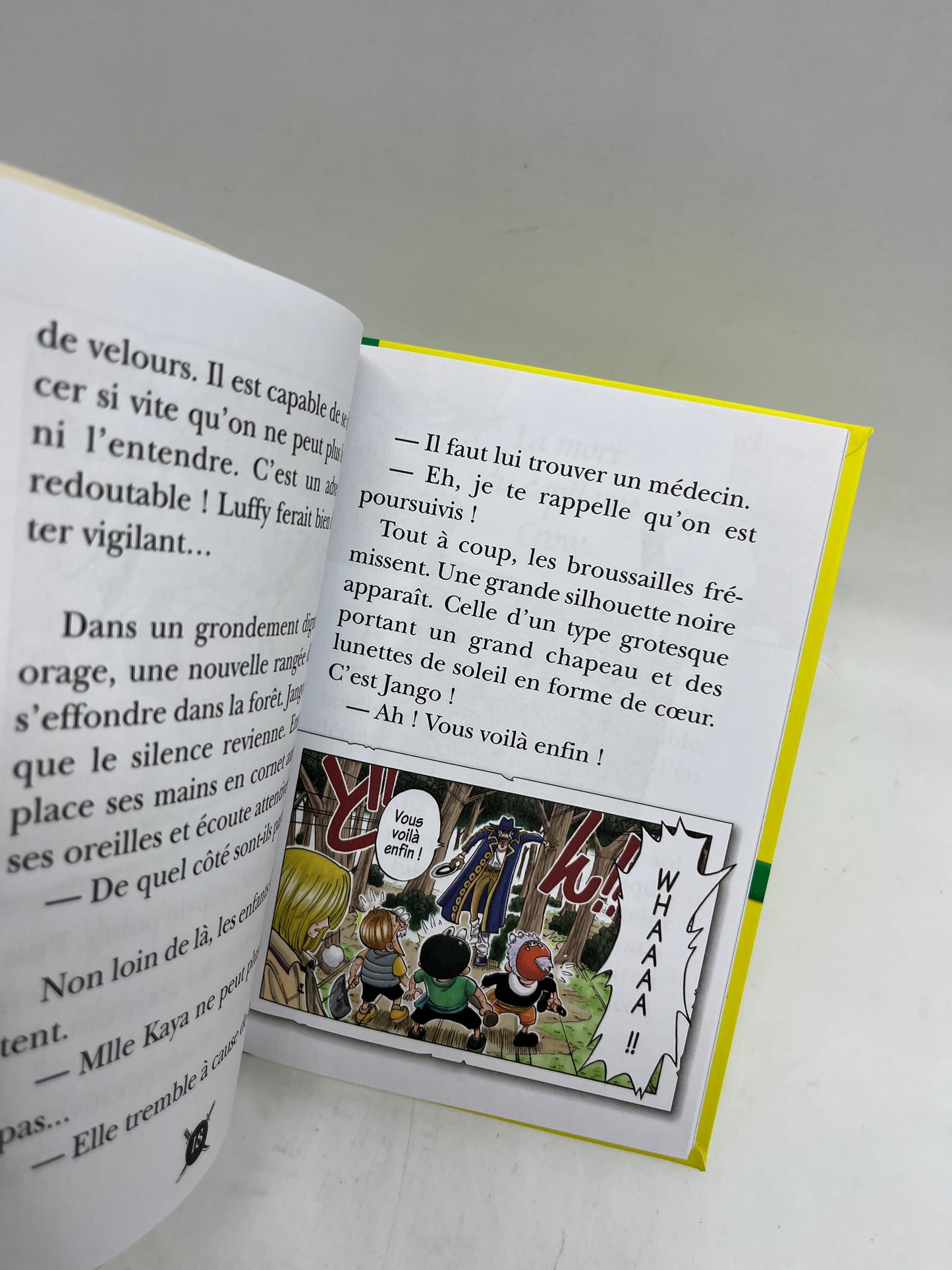 Livre histoire Ma bibliothèque verte One piece le combat de Pipo Neuf