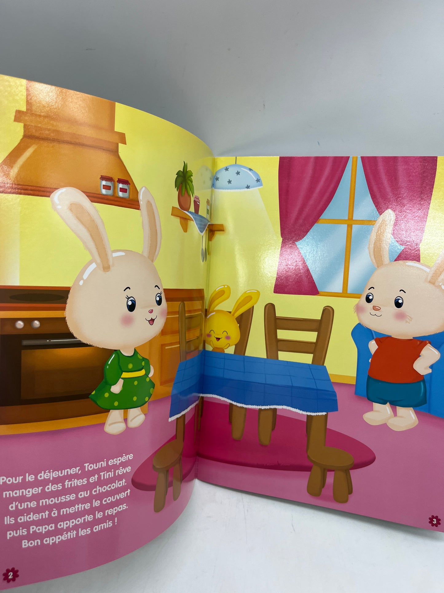 Livre d’activité magazine Une journée avec Titouni Avec gommettes et imagier Neuf