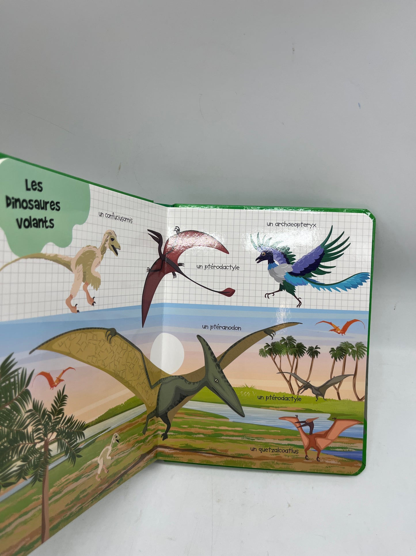 livre mon premier dictionnaire illustré mes premiers mots pour découvrir les dinosaures Neuf