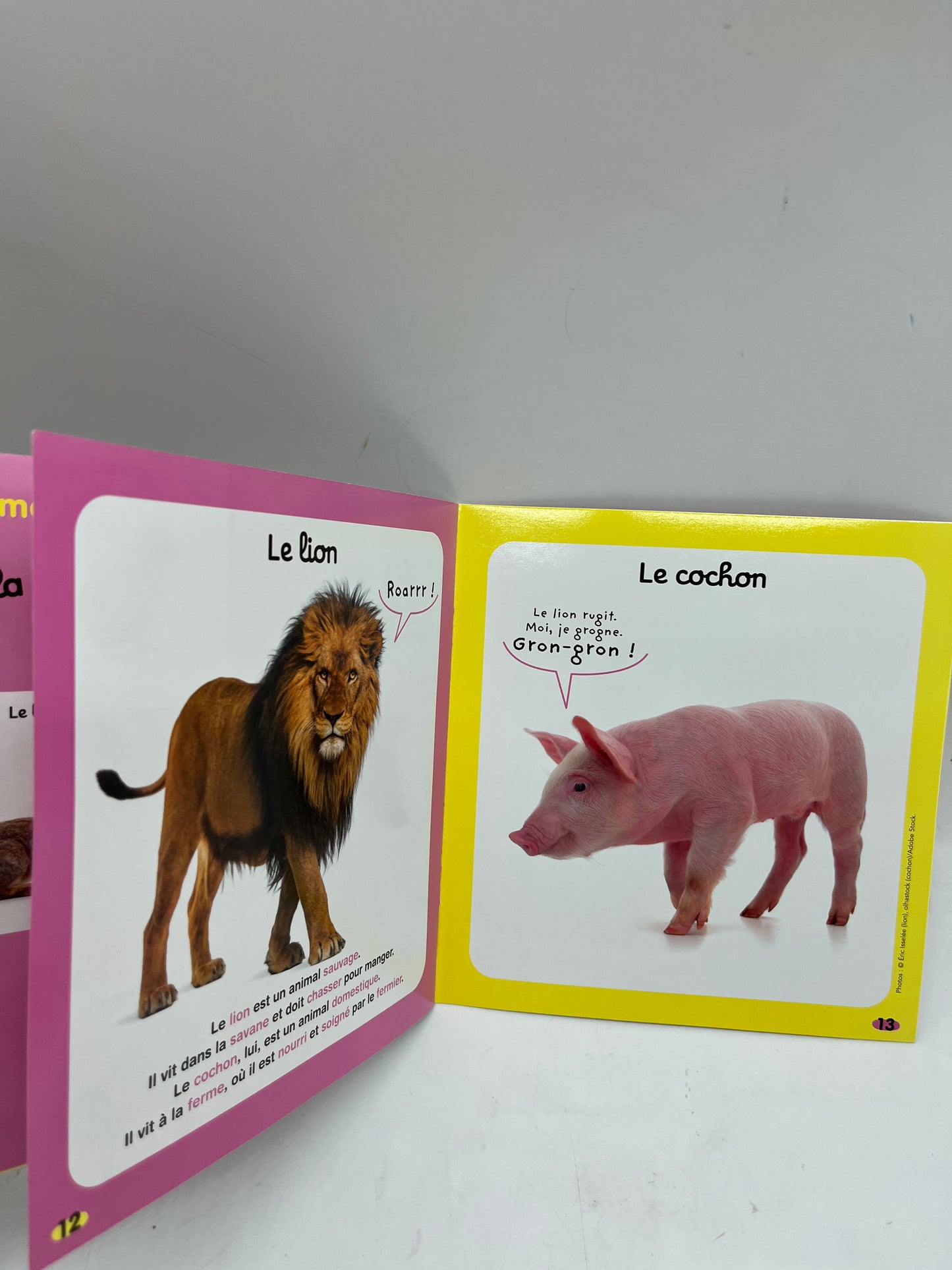 Magazine livre d’activité Kolala revue spécial animaux numéro 53 Bonbon le cochon imagier jeux activité !