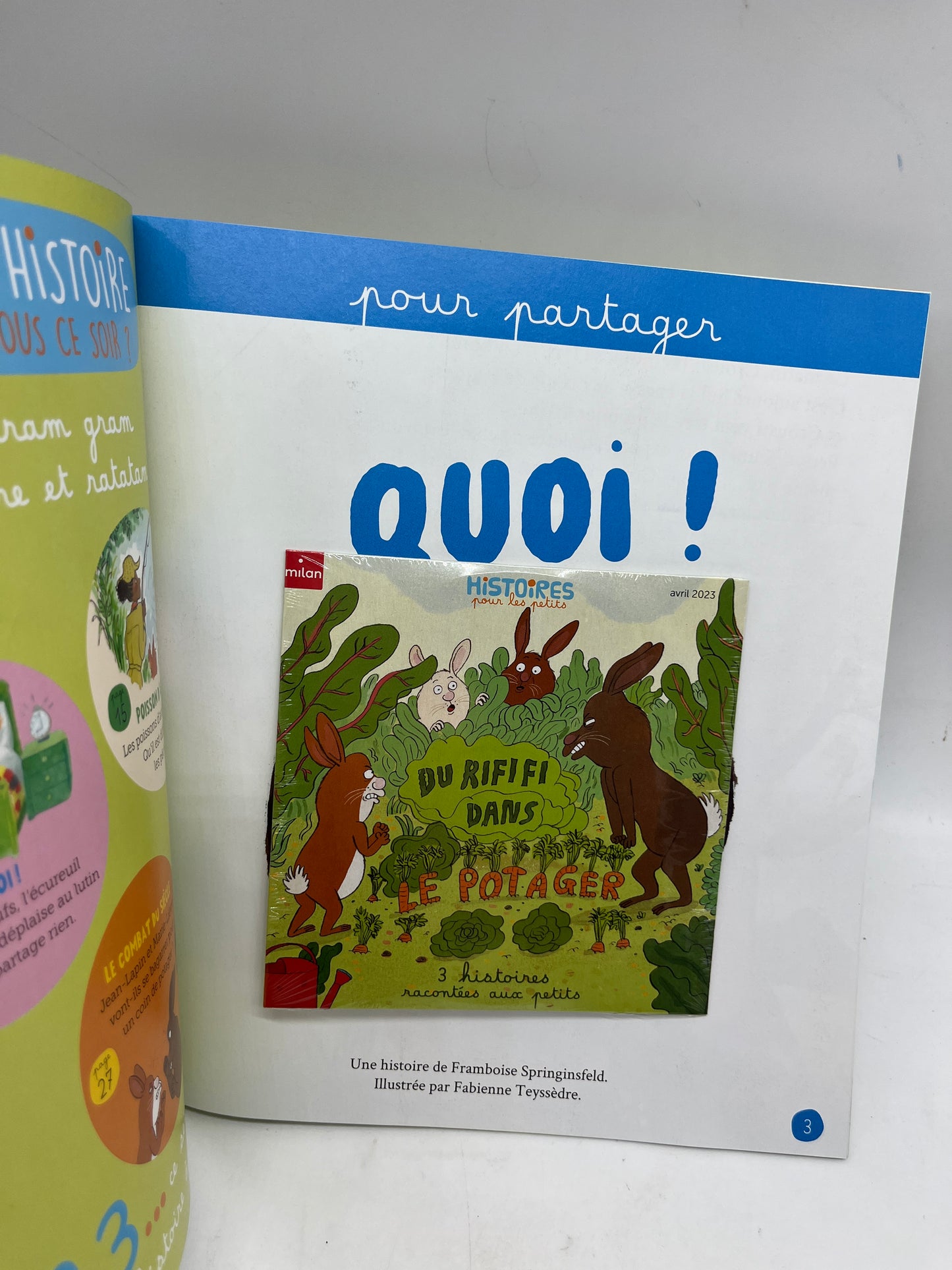 Livre d’activité magazines Histoires pour les petits avec Cd modèle Du rafikiki dans le potager Neuf