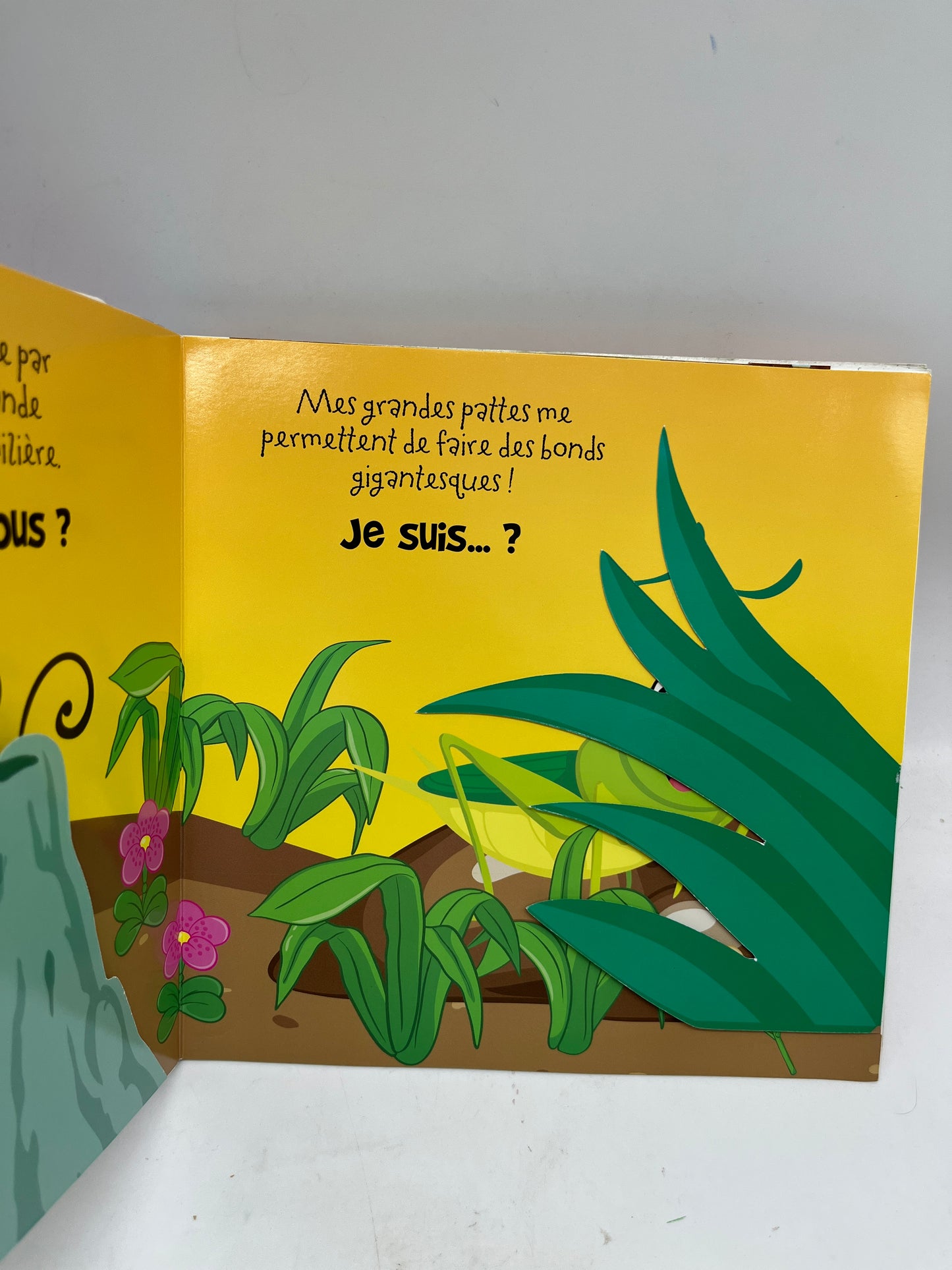 livre Mais qui es caché? Livre avec rabats et volets thème les petits animaux Neuf
