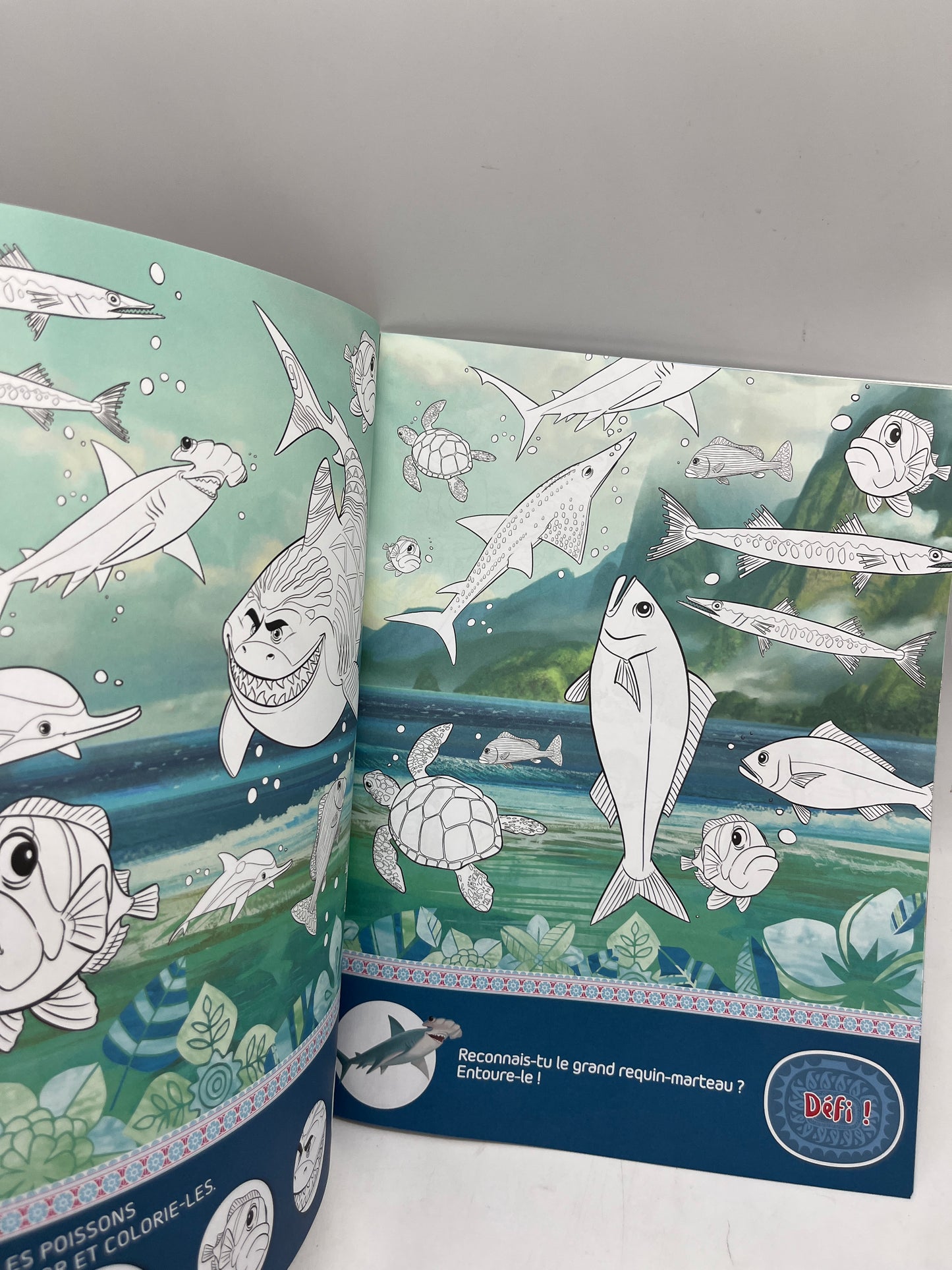 livre Cherche et trouve colorie thème Disney Princesse Vaisna à colorier Neuf