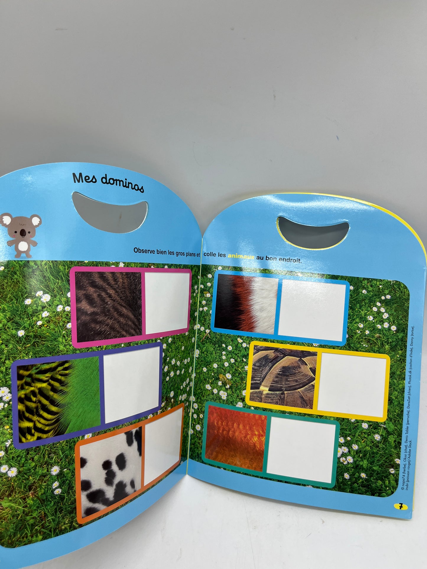 Livre d’activité Magazine Kolala Hors série numéro 6 imagier thème Les animaux de la maison Neuf