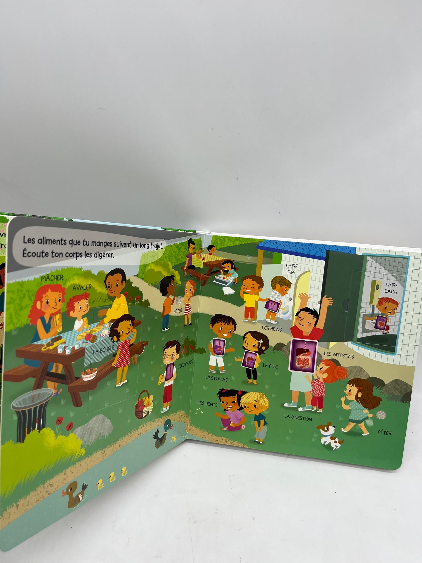 Livre Sonore Le corps Humain 12 sons à écouter et des volets à soulever Neuf édition Grund !