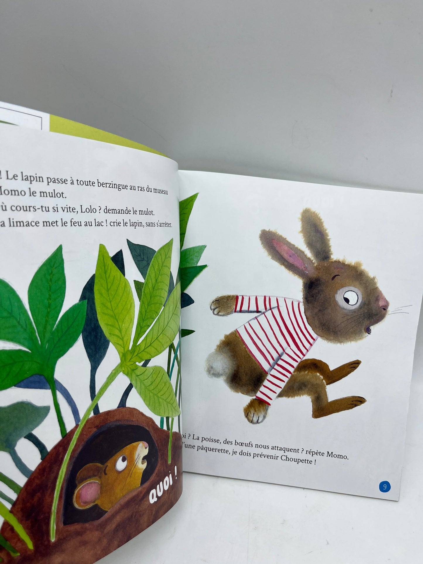 Livre d’activité magazines Histoires pour les petits avec Cd modèle Du rafikiki dans le potager Neuf