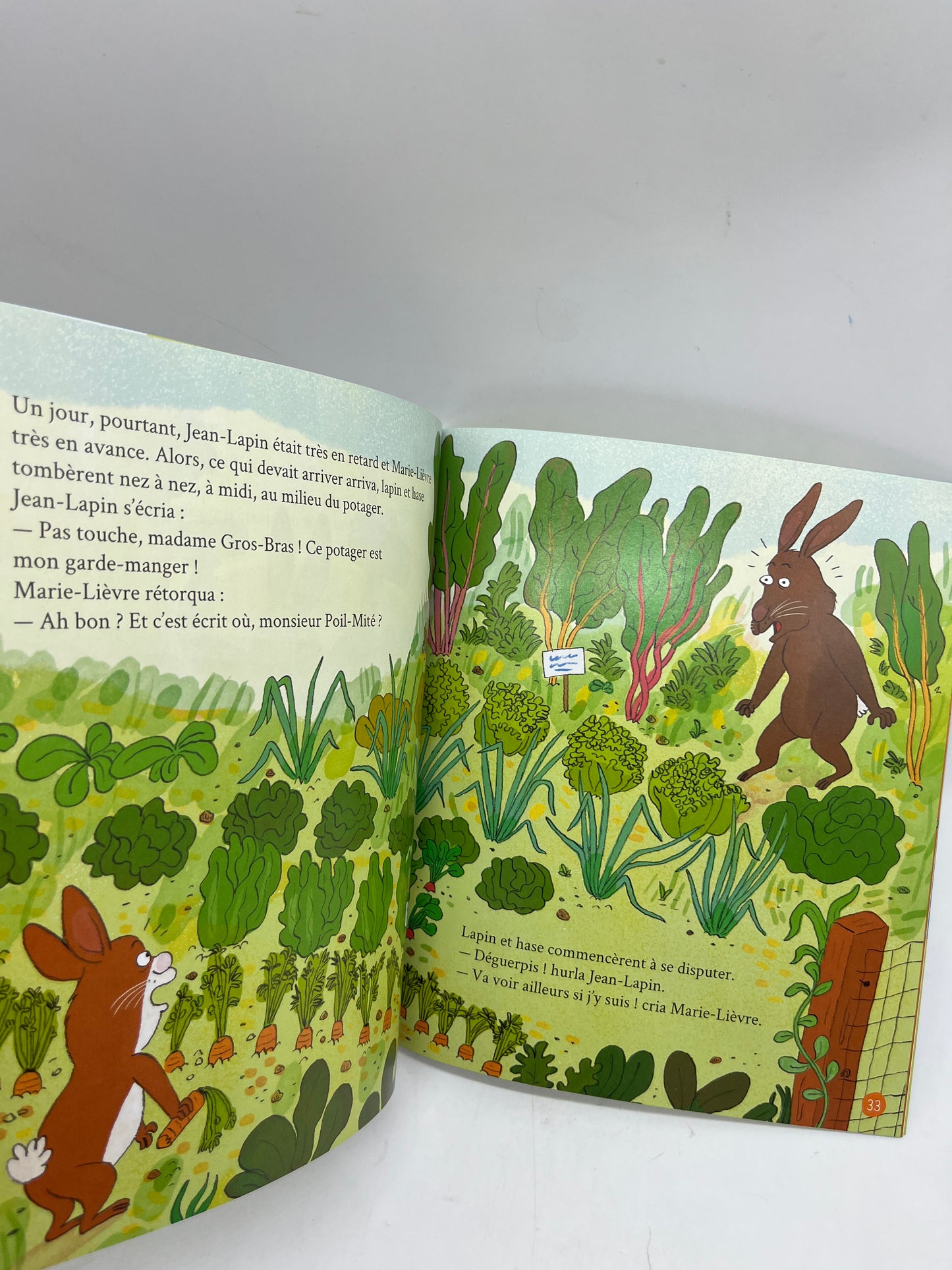 Livre d’activité magazines Histoires pour les petits avec Cd modèle Du rafikiki dans le potager Neuf