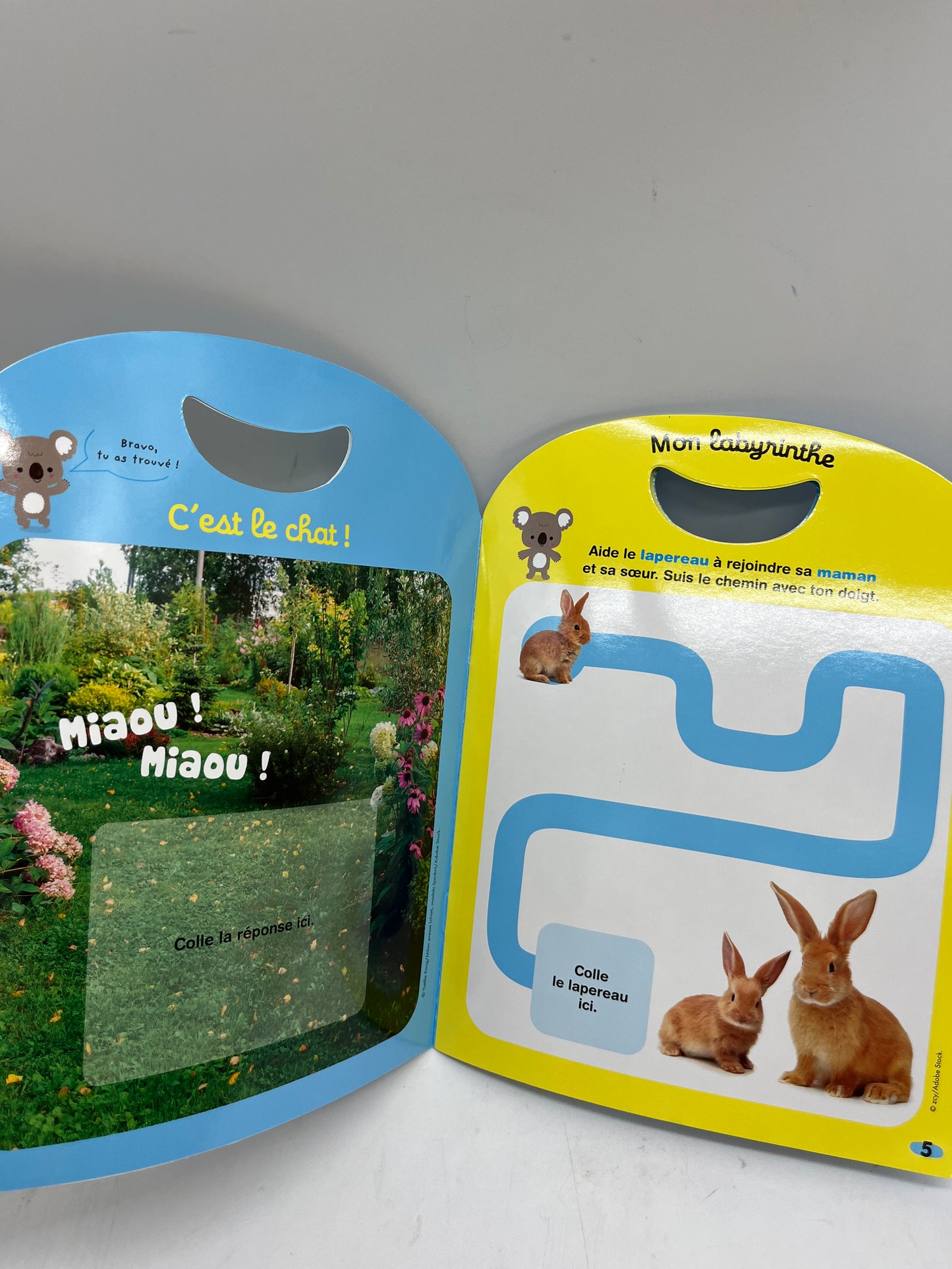 Livre d’activité Magazine Kolala Hors série numéro 6 imagier thème Les animaux de la maison Neuf