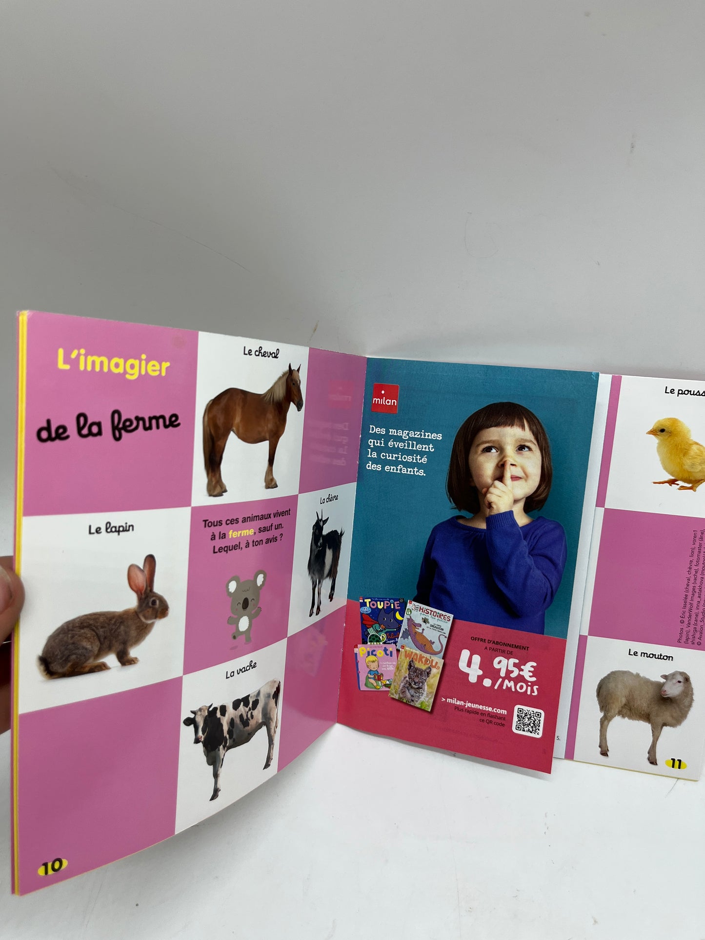 Magazine livre d’activité Kolala revue spécial animaux numéro 53 Bonbon le cochon imagier jeux activité !