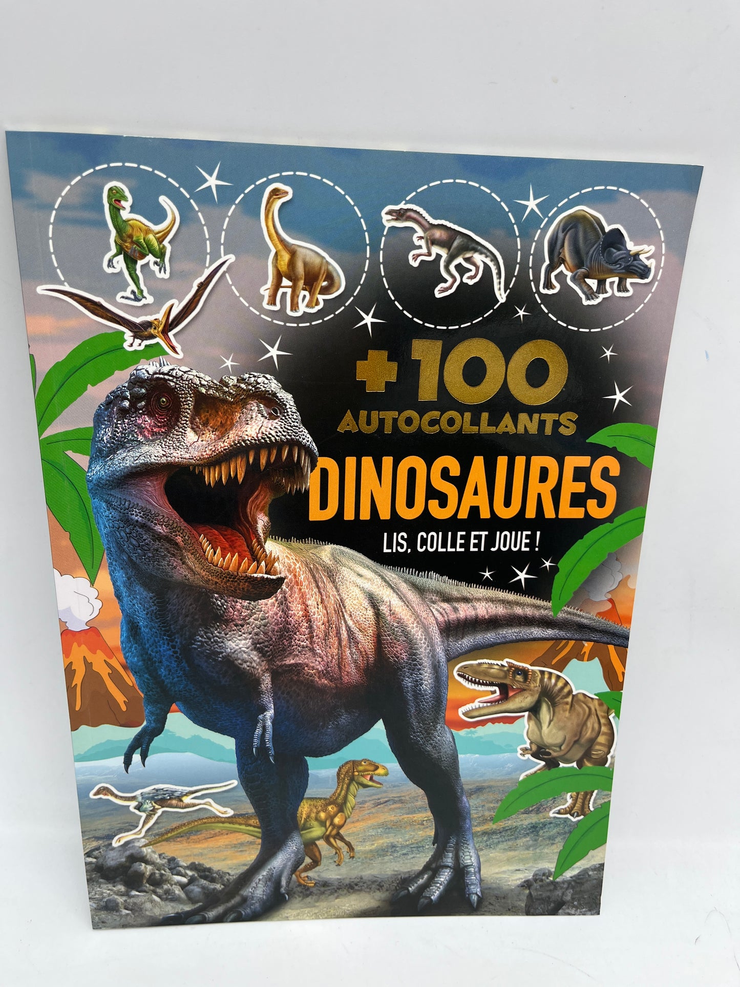livre d’activité Jeux avec plus de 100 autocollants Special dino dinosaures lis colle et joue avec les dinos Neuf