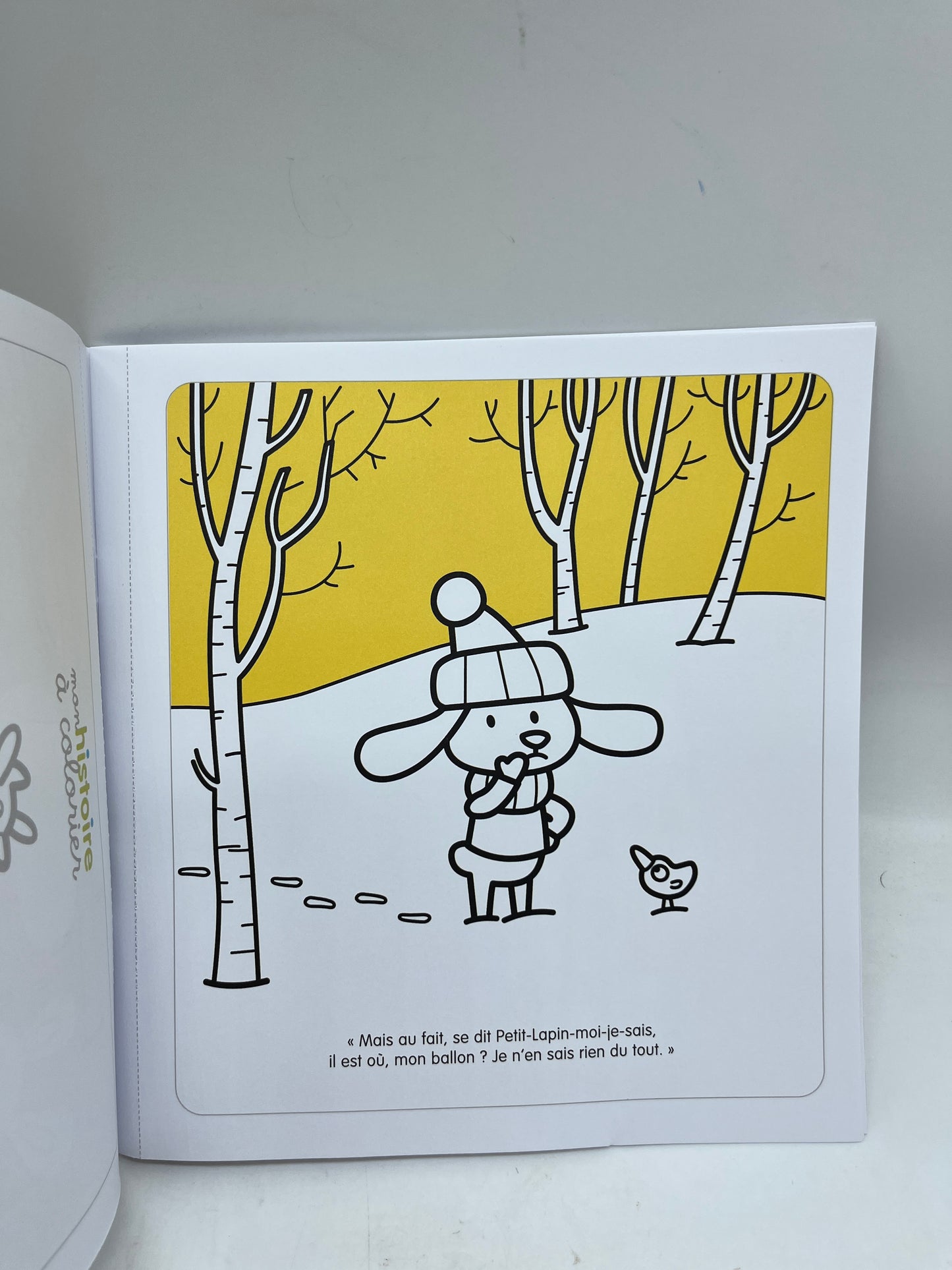 Livre d’activité Magazine Mon histoire à colorier avec ses crayons de couleurs thèmes hiver Neuf