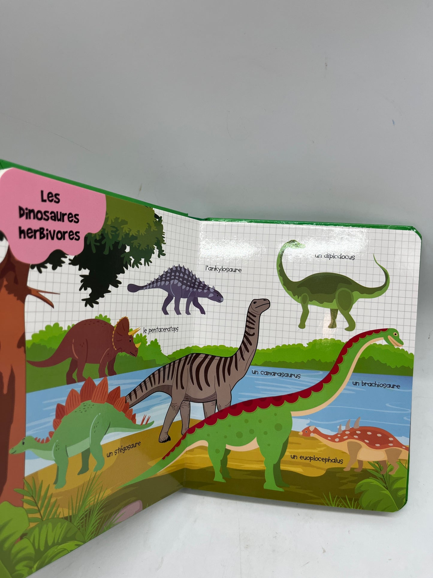 livre mon premier dictionnaire illustré mes premiers mots pour découvrir les dinosaures Neuf