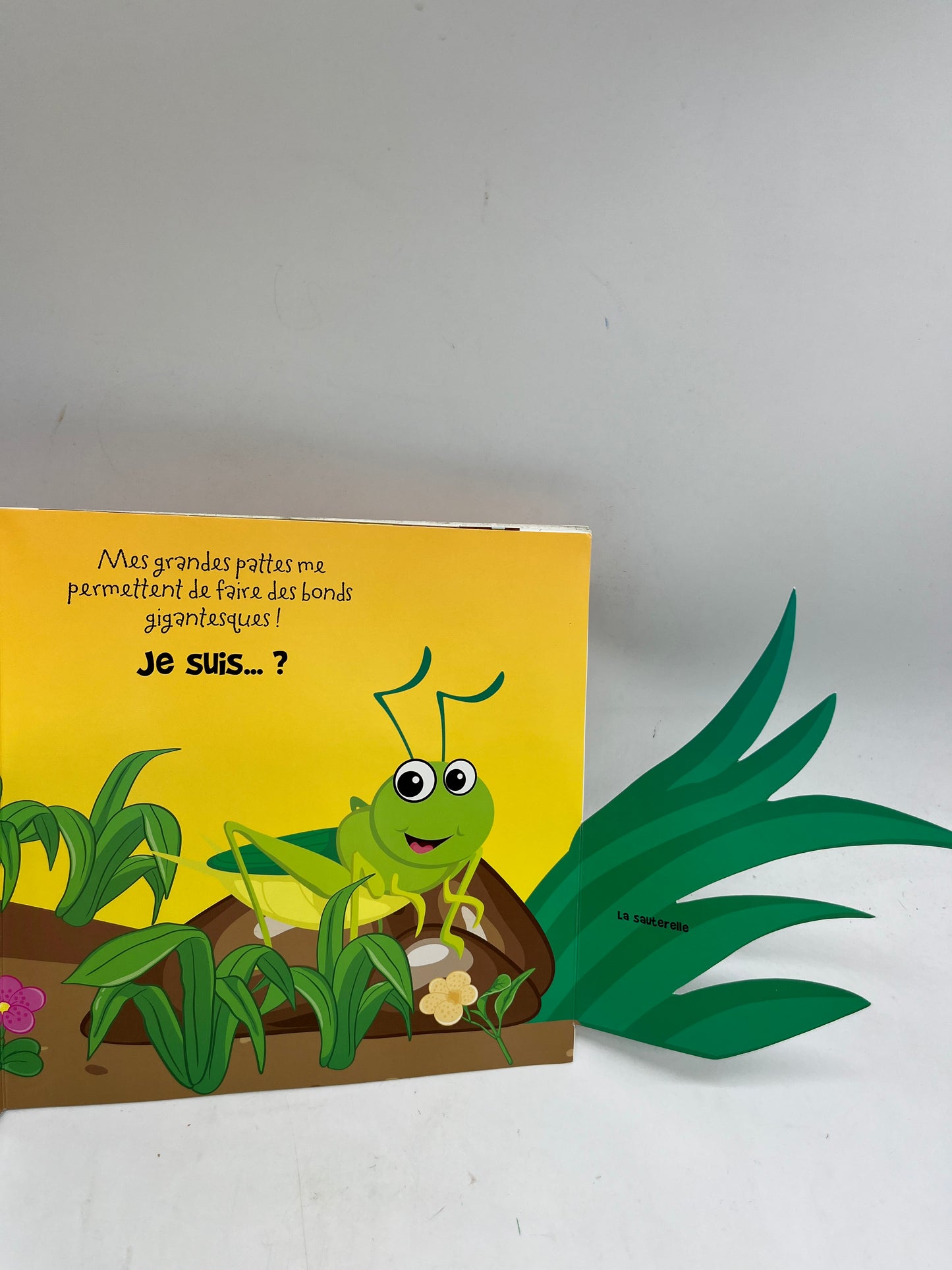 livre Mais qui es caché? Livre avec rabats et volets thème les petits animaux Neuf