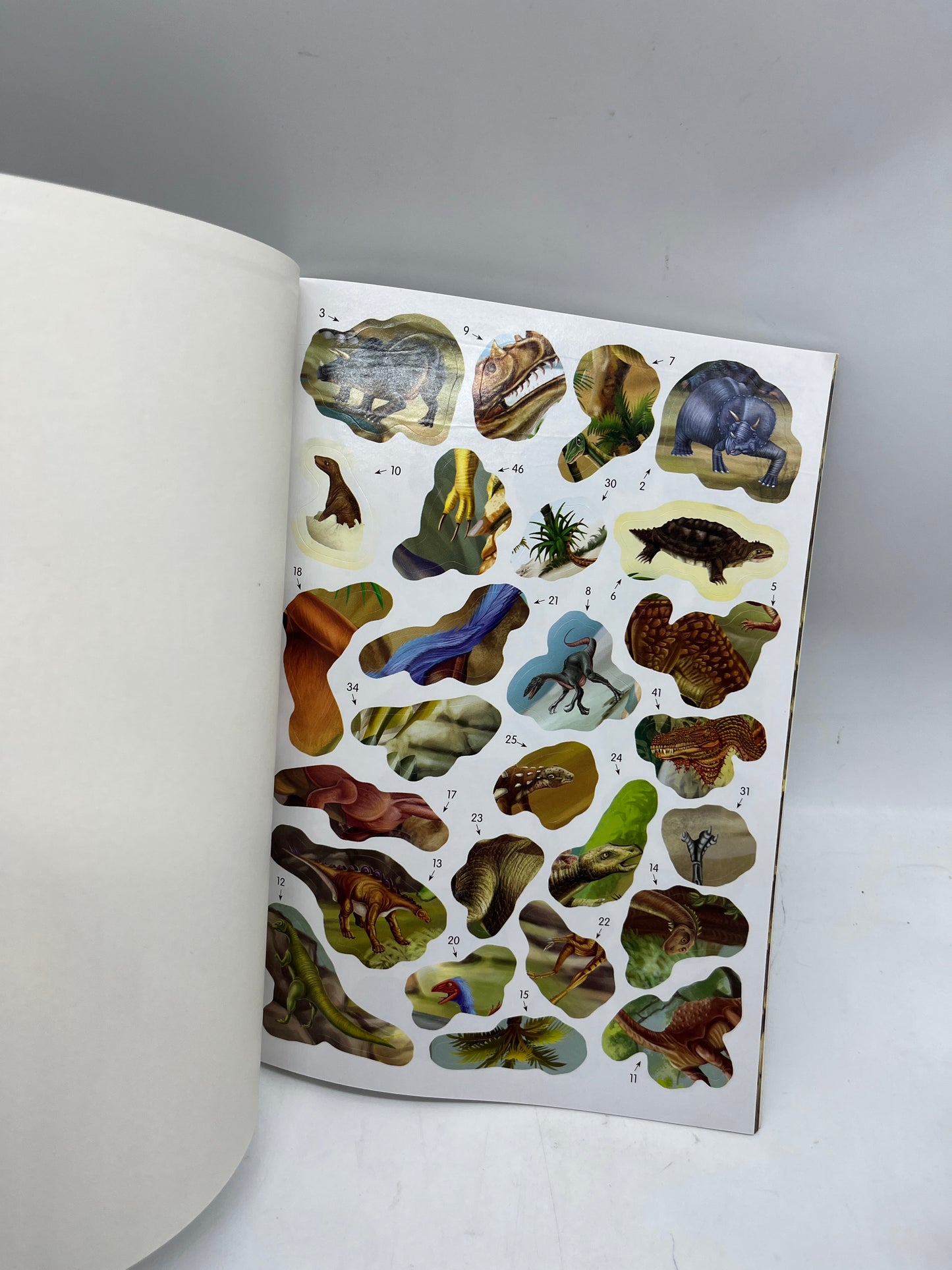 livre d’activité Jeux avec plus de 100 autocollants Special dino dinosaures lis colle et joue avec les dinos Neuf
