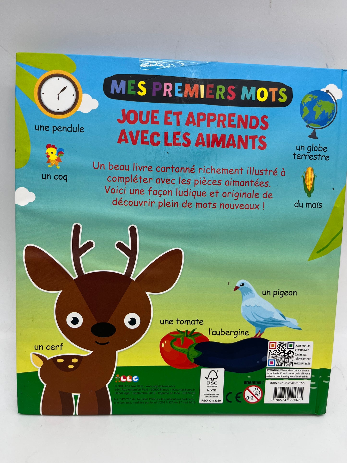 livre Je joue je décore j’apprends thème Mes premiers mots avec tes aimants Neuf